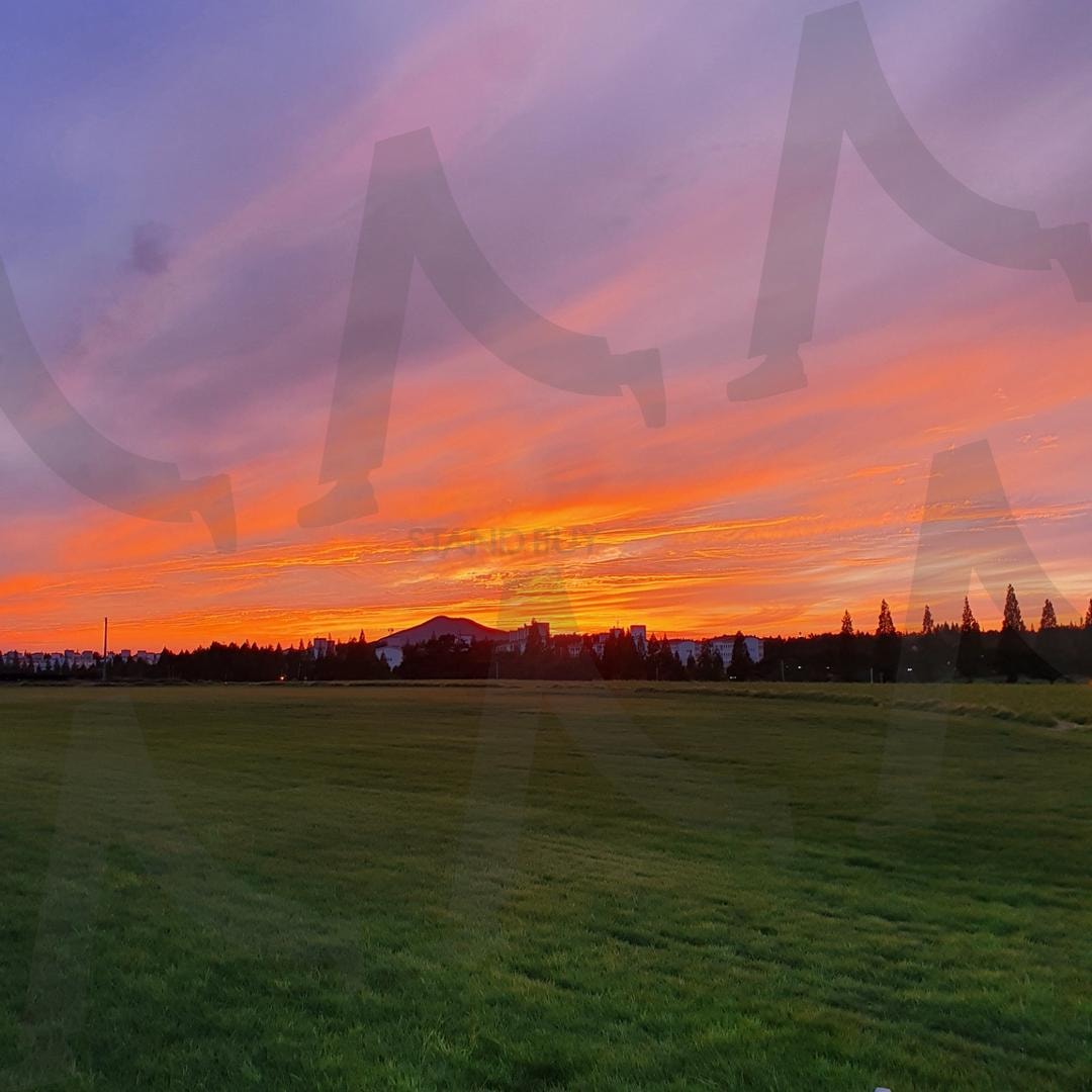 들판 위로 물든 찬란한 노을 | 노을, 들판, 자연, 평온함, 주황빛 하늘 | 스탠바이 STANDBUY 디지털 콘텐츠