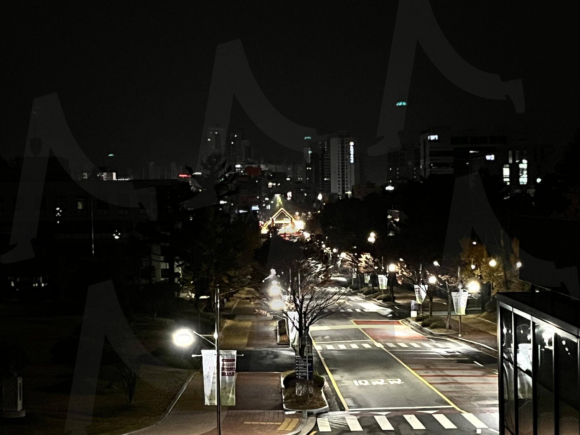 대학교 새벽, 정문에서 도서관 | 대학교, 캠퍼스, 새벽, 고요, 가로등 | 스탠바이 STANDBUY 디지털 콘텐츠