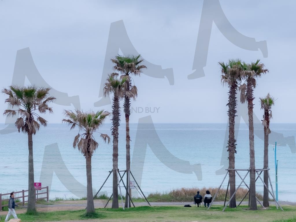 제주도 함덕 해수욕장 | 제주도, 제주여행, 함덕해수욕장, 바다사진, 제주바다, 풍경사진, 여행사진, 감성사진 | 스탠바이 STANDBUY 디지털 콘텐츠