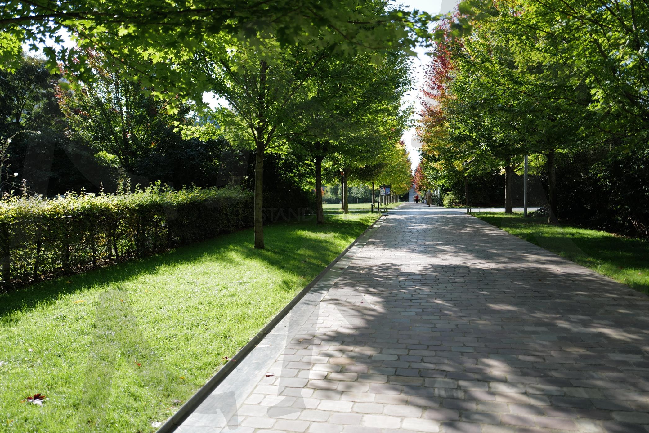 공원(park) | 공원, 한가한, 조용한, 힐링, 라이카, DSLR, 여행, 프랑스, 유럽, 자연광, 광합성 | 스탠바이 STANDBUY 디지털 콘텐츠