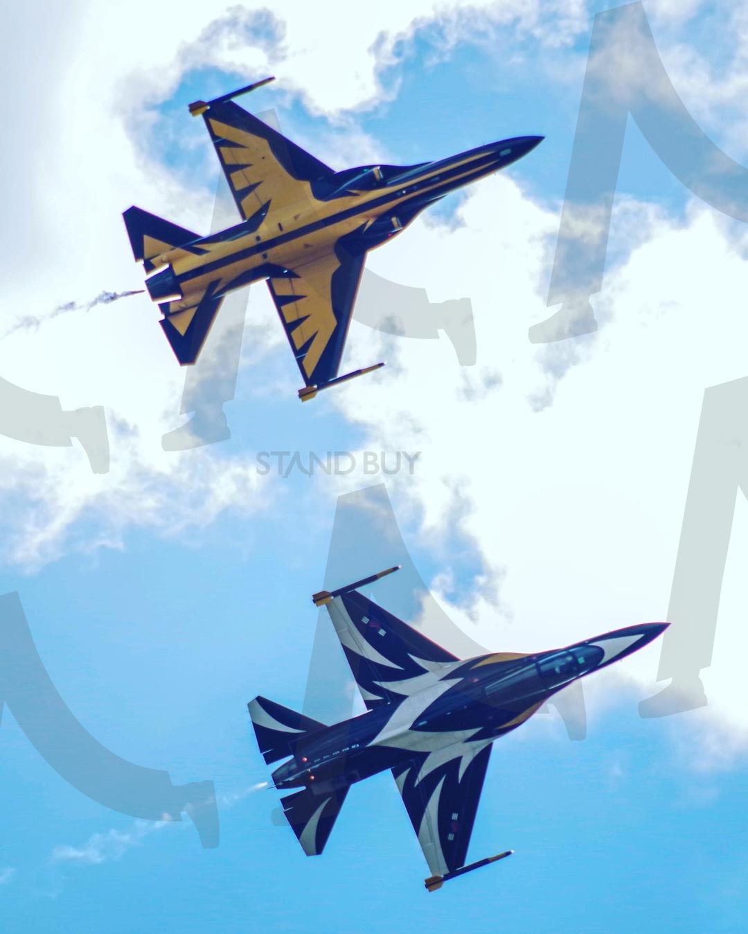 블랙 이글스 팀 | 블랙 이글스, 전투기, 공군, 퍼레이드, 축제, 하늘, 비행기, 새, 군대 | 스탠바이 STANDBUY 디지털 콘텐츠