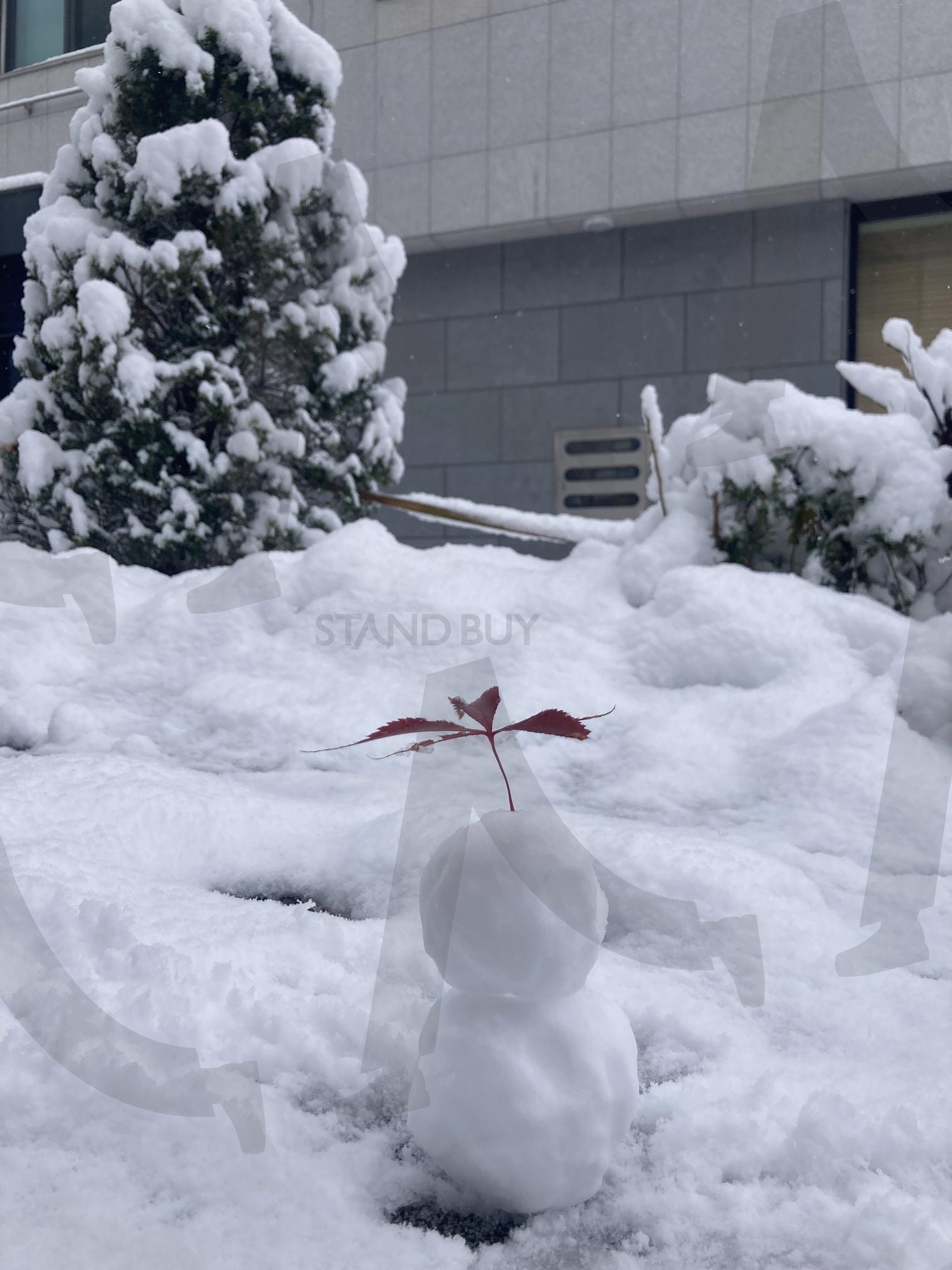 우산쓴 눈사람 | 눈, 눈사람, 단풍, 단풍우산, 우산, 귀여움, 아기자기 | 스탠바이 STANDBUY 디지털 콘텐츠