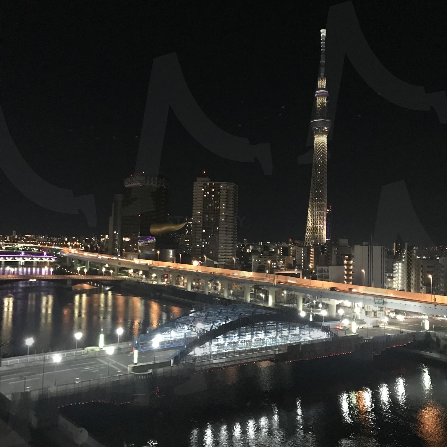 도쿄 시내 야경 | 스카이트리, 도쿄, 시내, 도시, 풍경, 야간 | 스탠바이 STANDBUY 디지털 콘텐츠