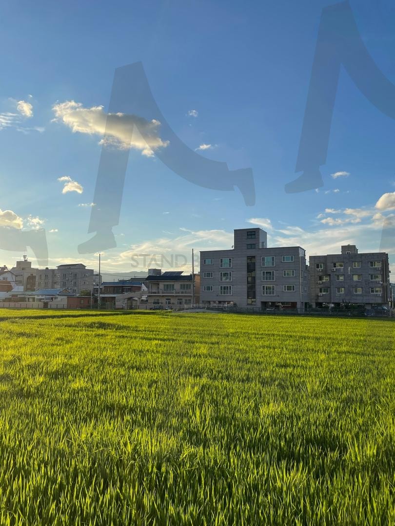 시골의 한 풍경 | 시골의한풍경, 경상남도, 고성군, 시골마을, 시골 논밭 | 스탠바이 STANDBUY 디지털 콘텐츠