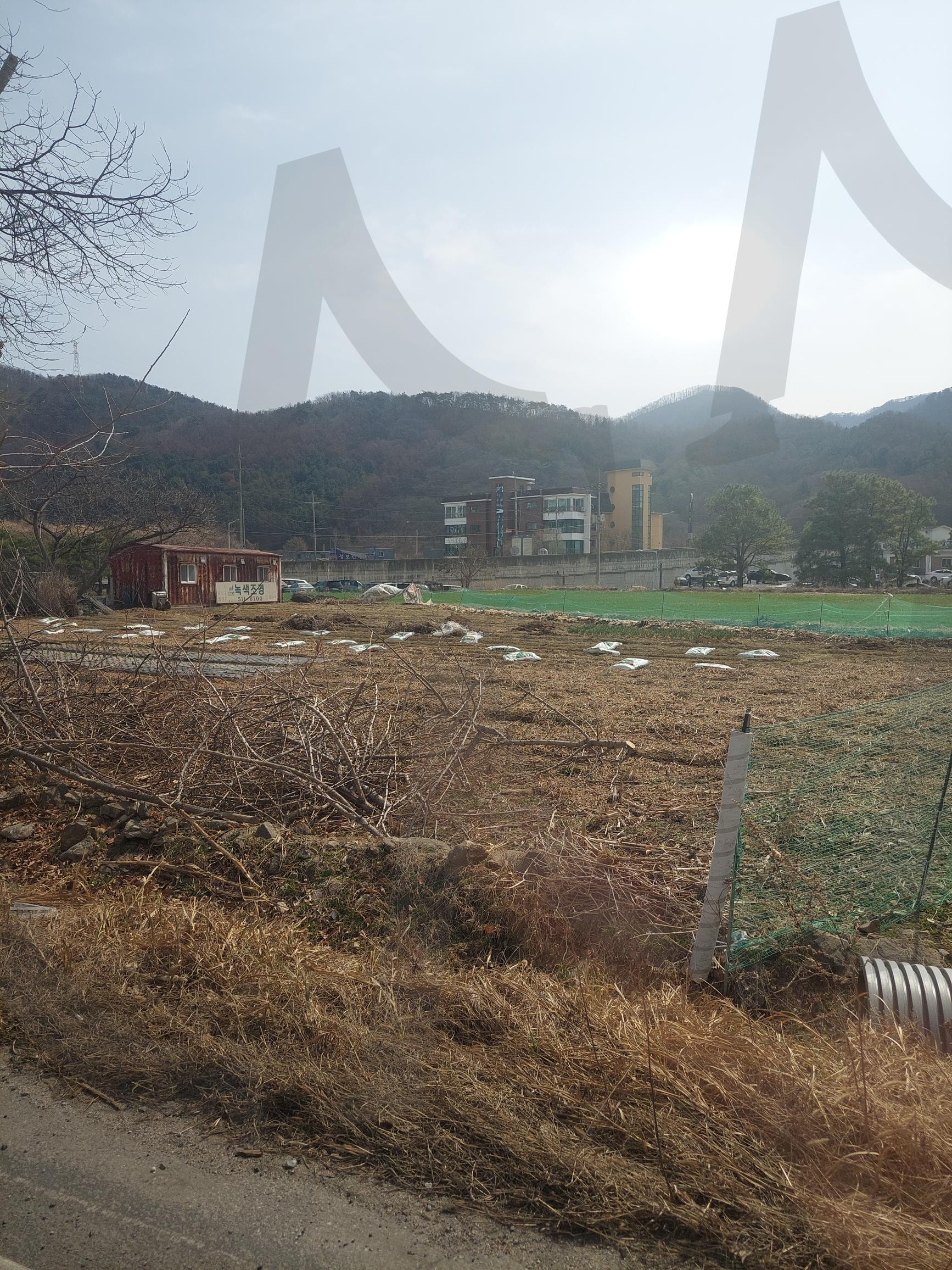 한국 산과 들판 그 너머 | 자연, 한국, 산, 들판, 마을 | 스탠바이 STANDBUY 디지털 콘텐츠
