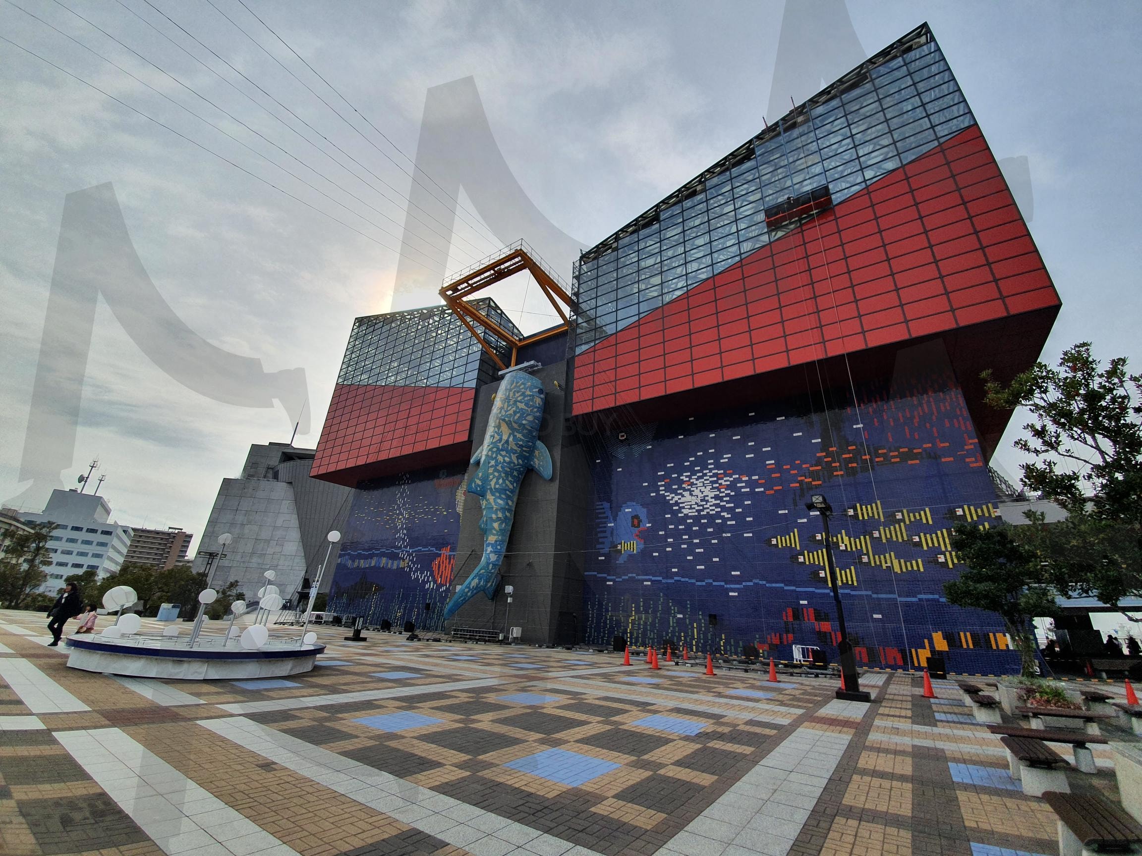 가이유칸 수족관 | 수족관, 고래상어, 오사카, 가이유칸, 일본, 여행, 아쿠아리움 | 스탠바이 STANDBUY 디지털 콘텐츠