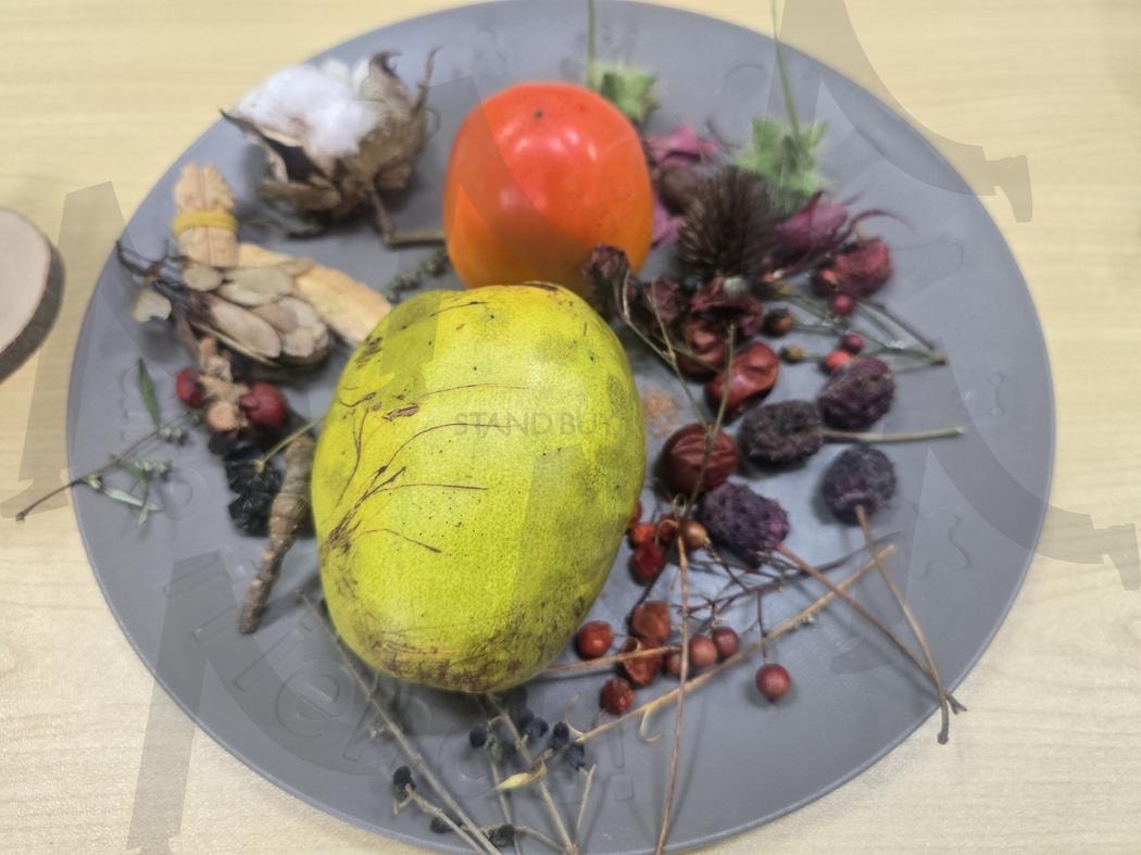 가을의 정물 | 정물 사진, 모과와 감, 목화솜 장식, 자연스러운색감, 계절감있는구성 | 스탠바이 STANDBUY 디지털 콘텐츠