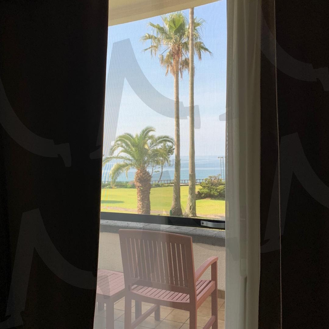 제주도에서의 아침 풍경 | 야자수나무, 아침풍경, 아침 하늘, 새벽공기, 제주도호텔, 제주도 | 스탠바이 STANDBUY 디지털 콘텐츠