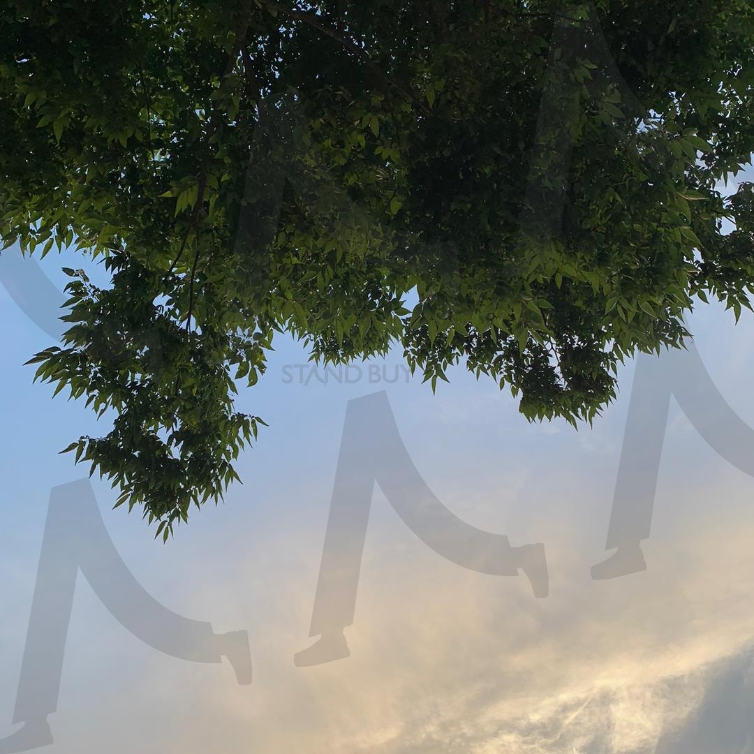 푸른 하늘 | 하늘, 구름, 나무, 뭉개구름, 파란하늘, 배경화면 | 스탠바이 STANDBUY 디지털 콘텐츠