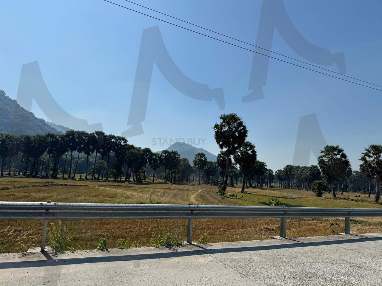 열대 야자수와 산이 있는 시골 풍경 | 시골풍경, 열대야자수, 맑은하늘, 산, 자연, 도로, 가드레일, 평온함, 휴식, 힐링 | 스탠바이 STANDBUY 디지털 콘텐츠