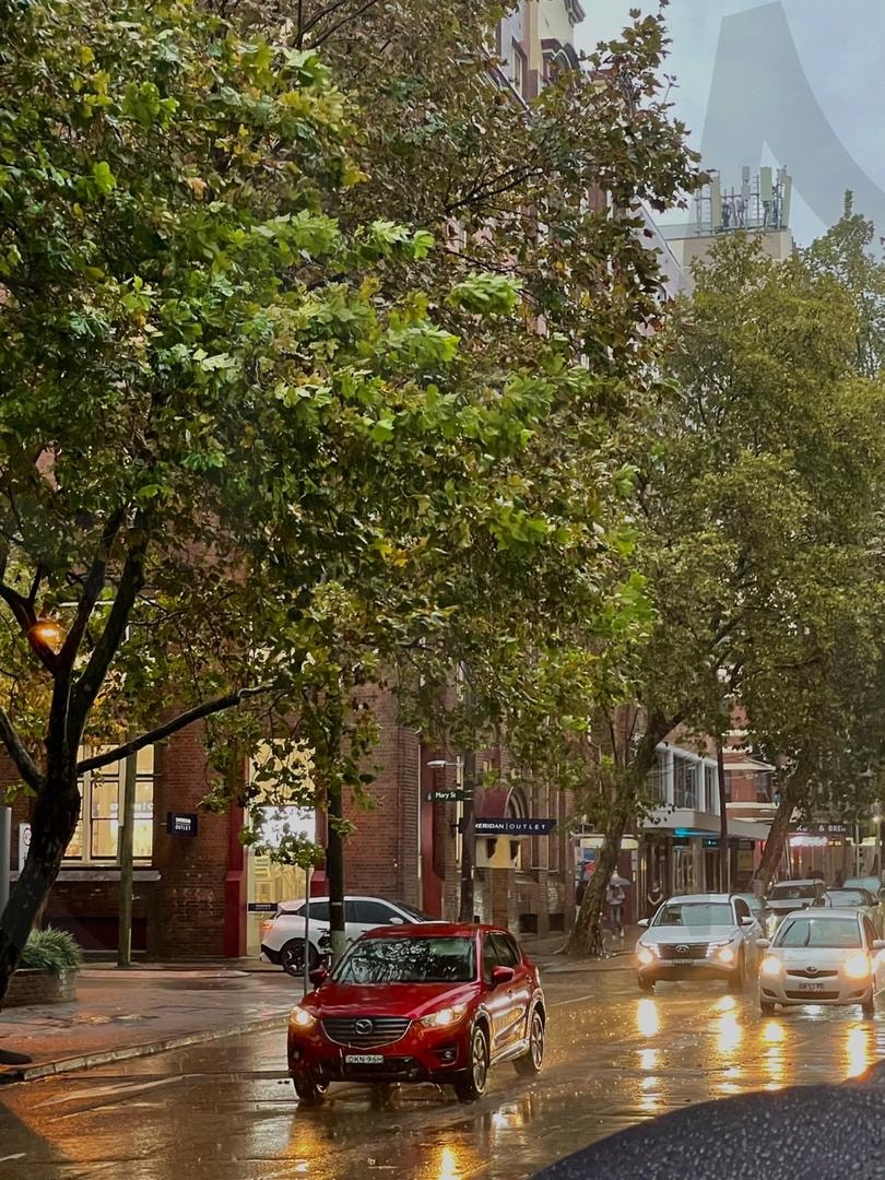 호주_시드니 9 | 시드니, 호주, 아이폰, 소나기, 도로 | 스탠바이 STANDBUY 디지털 콘텐츠