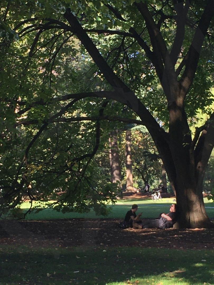 나무 아래 휴식 | 나무, 자연, 공원, 잔디, 초록, 인물 | 스탠바이 STANDBUY 디지털 콘텐츠