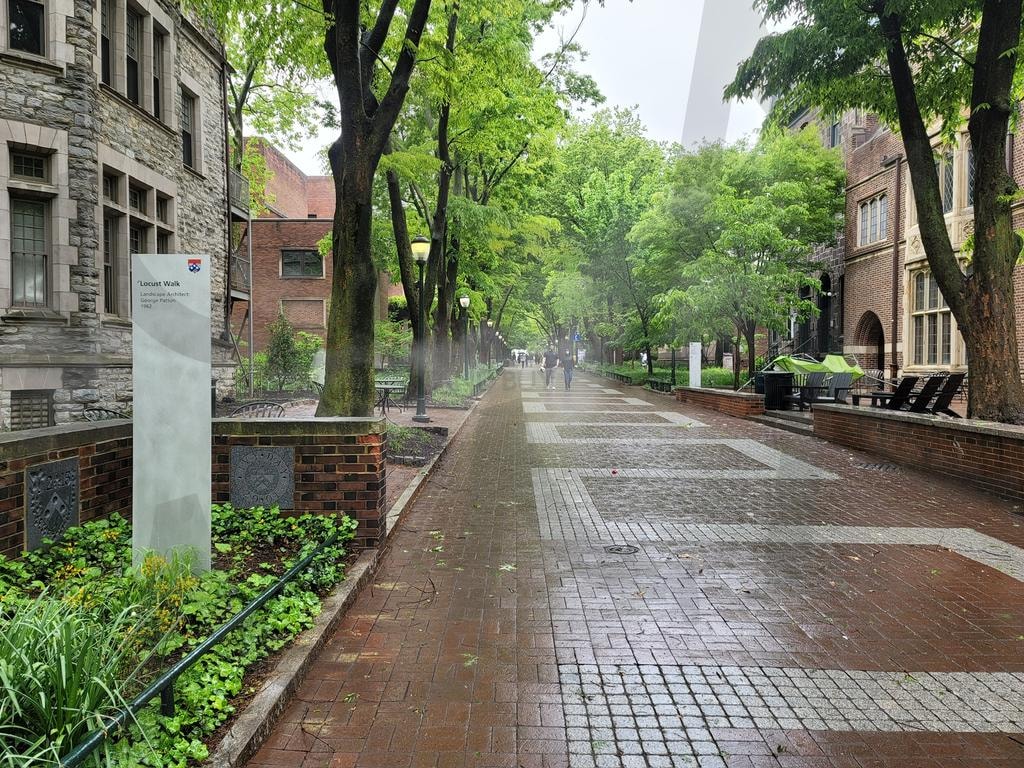 산책길 | 미국, 안개, 주택, 나무, 상쾌 | 스탠바이 STANDBUY 디지털 콘텐츠