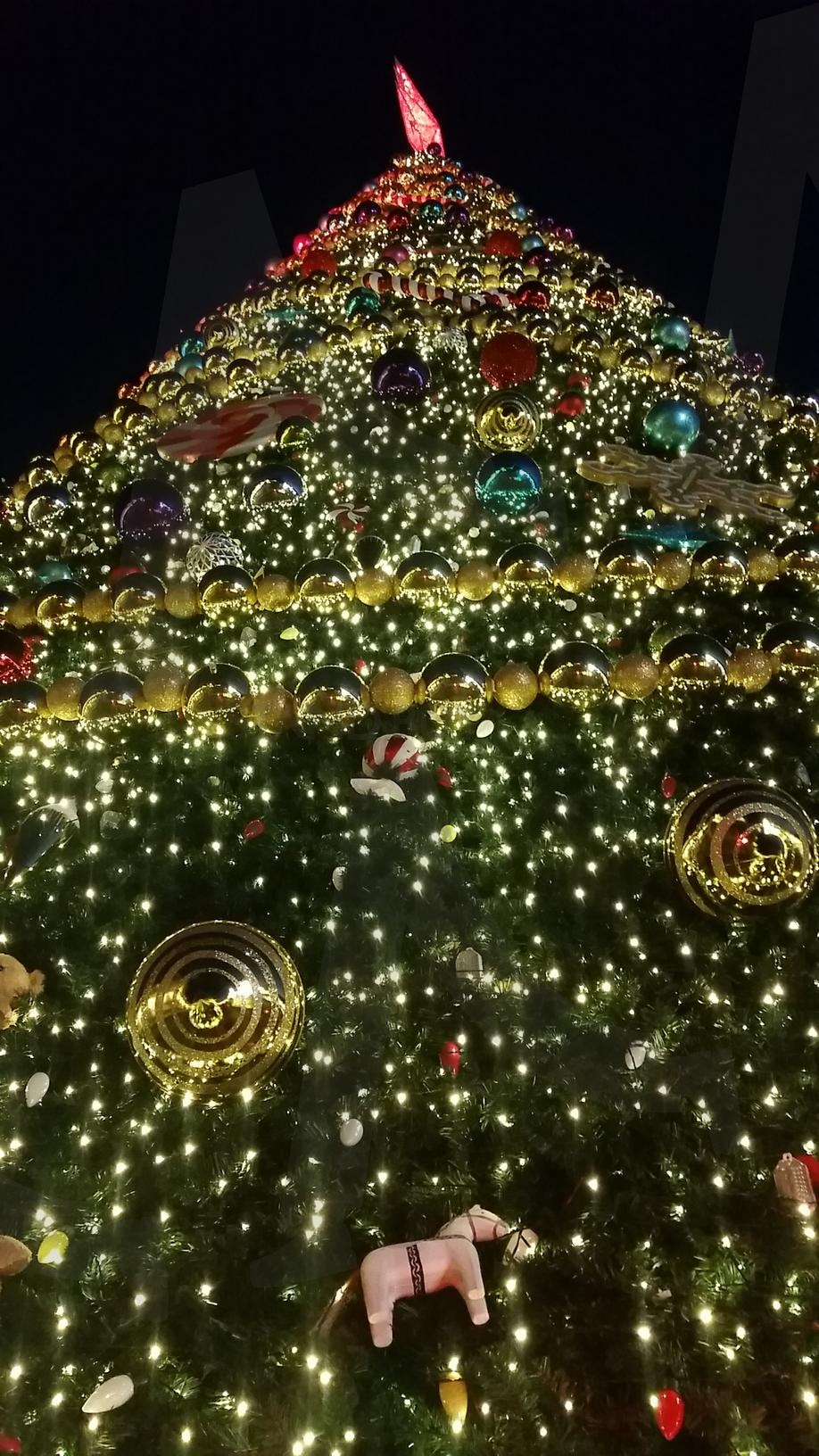 크리스마스 트리 | x-mas, 크리스마스, 장식, 에버랜드, 놀이동산 | 스탠바이 STANDBUY 디지털 콘텐츠