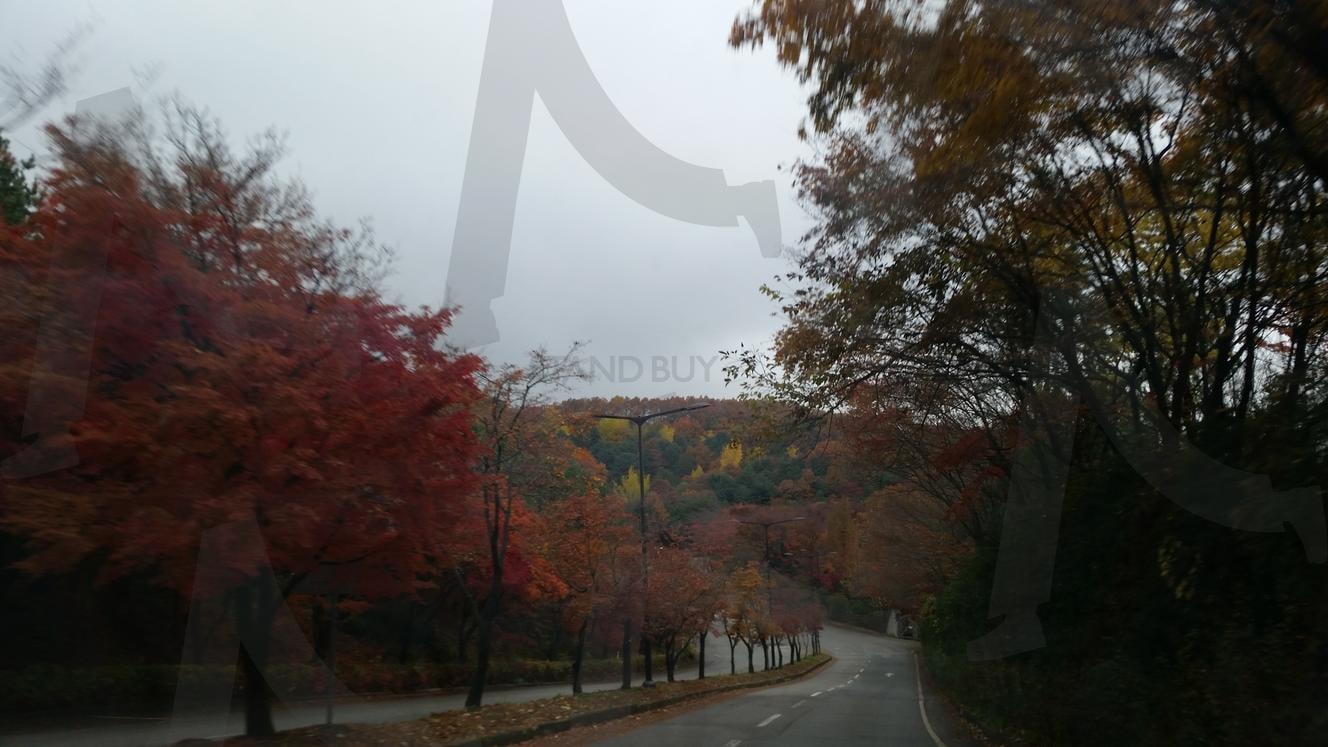 가을 단풍 산길 | 가을, 단풍, 산길, 용인, 숲속길, 풍경, 자연 | 스탠바이 STANDBUY 디지털 콘텐츠
