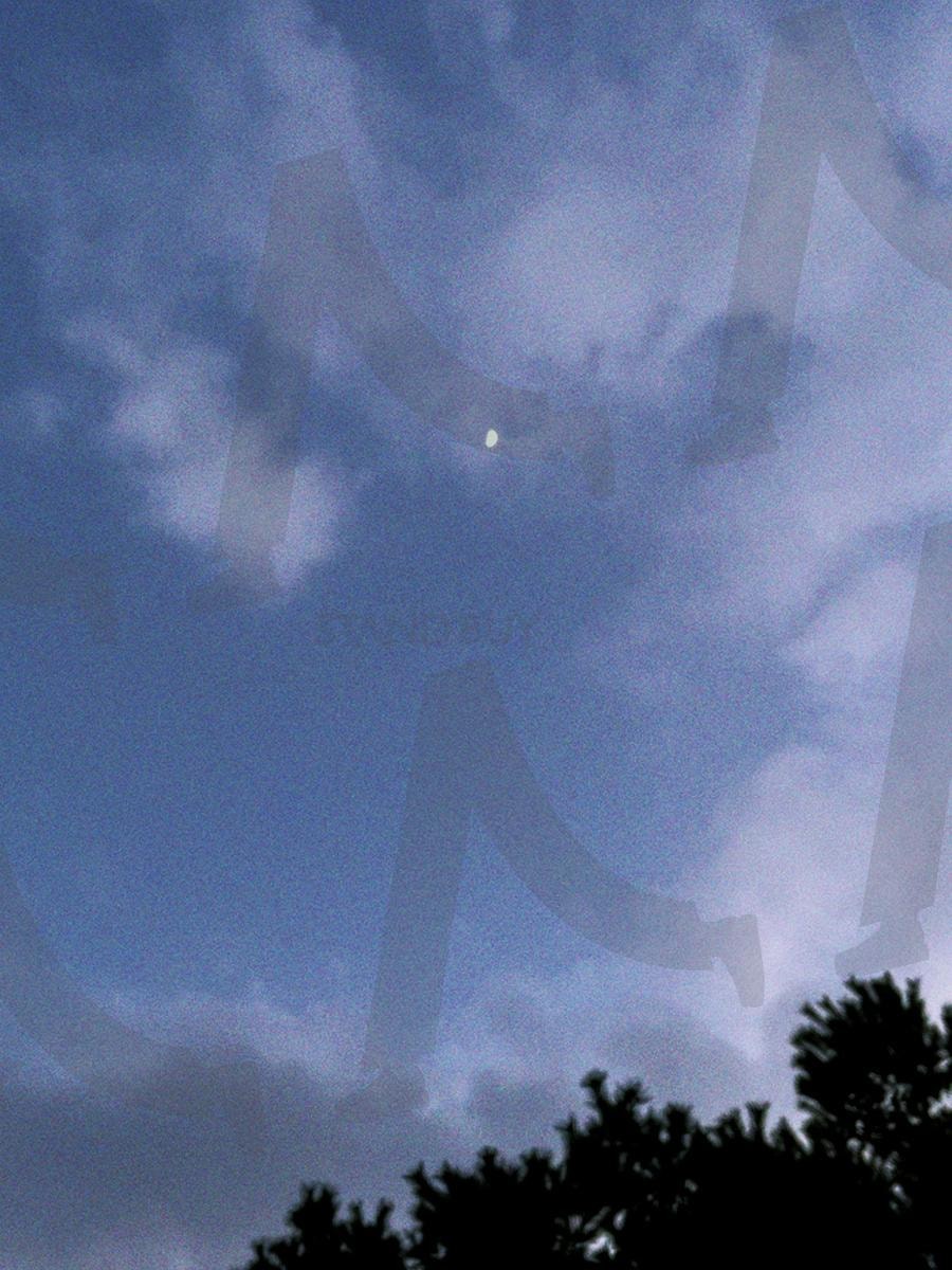 여름밤의 꿈 | 여름, 밤, 여름밤, 밤하늘, 여름밤의 꿈, 꿈 | 스탠바이 STANDBUY 디지털 콘텐츠