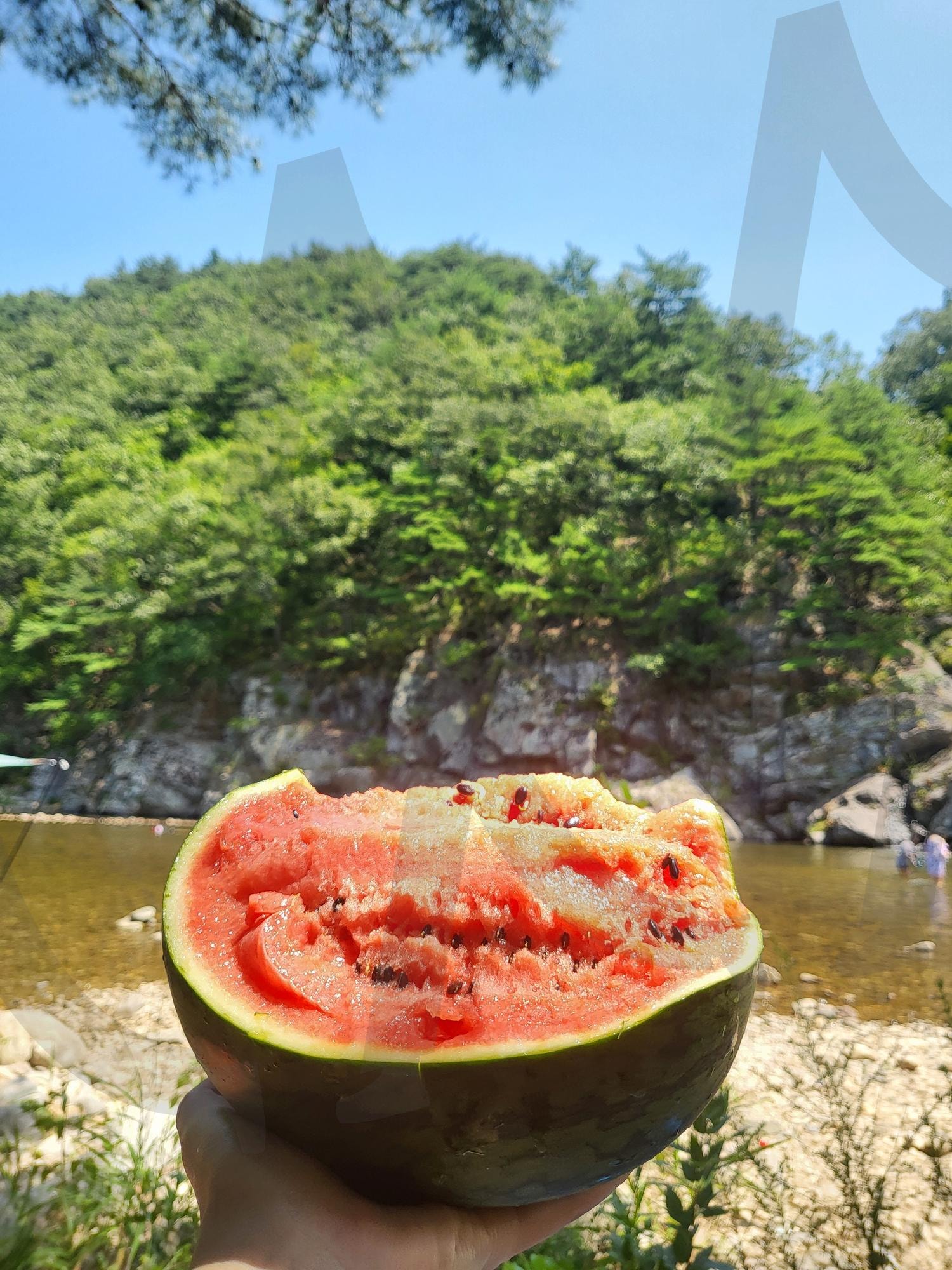 여름이었다…⭐️ | 계곡, 수박, 자연, 여름, 여행 | 스탠바이 STANDBUY 디지털 콘텐츠