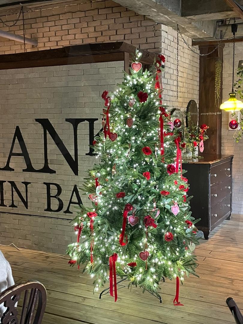 크리스마스 | 크리스마스, 트리, 겨울, 카페, 크리스마스트리 | 스탠바이 STANDBUY 디지털 콘텐츠