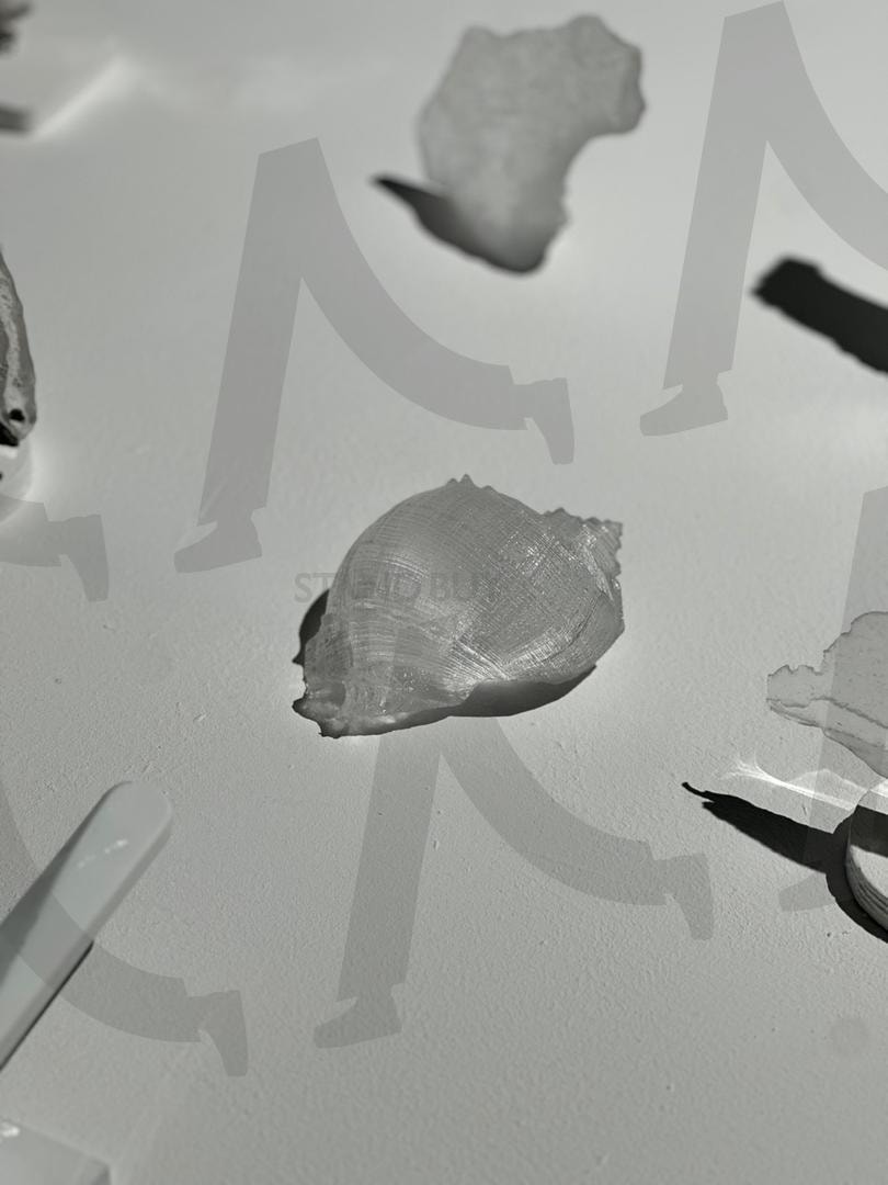 투명한 조각 – 자연의 흔적 | 자연, 투명, 조각, 아름다움, 빛, 예술작품, 자연의흔적, 소라, 아트, 미술, 섬세함, 조화, 공간, 미학, 감성, 배경화면, 화이트, 흰색, white, art, 전시, 전시회, 유리 | 스탠바이 STANDBUY 디지털 콘텐츠