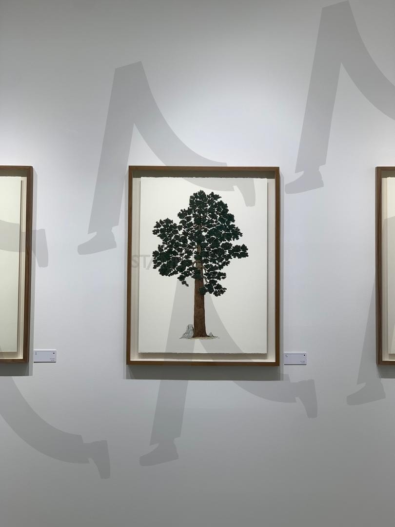 자연의 품격 – 나무의 우아함 | 자연, 나무, 전시, 전시회, 아름다움, 우아함, 환경, 예술, 예술작품, 그림, 조화, 생태, 아트, 질감, 감성, 액자, 인테리어, 공간, 배경화면 | 스탠바이 STANDBUY 디지털 콘텐츠