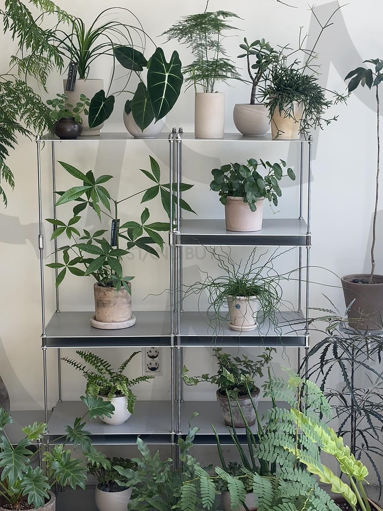 여름감성 꽃집 | 여름, 한국여름, 한국꽃집, 초록감성, 플랜테리어, plant | 스탠바이 STANDBUY 디지털 콘텐츠