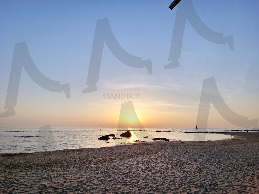 동해바다 일출 | 동해, 바다, 일출, 바닷가, 하늘, 해변 | 스탠바이 STANDBUY 디지털 콘텐츠