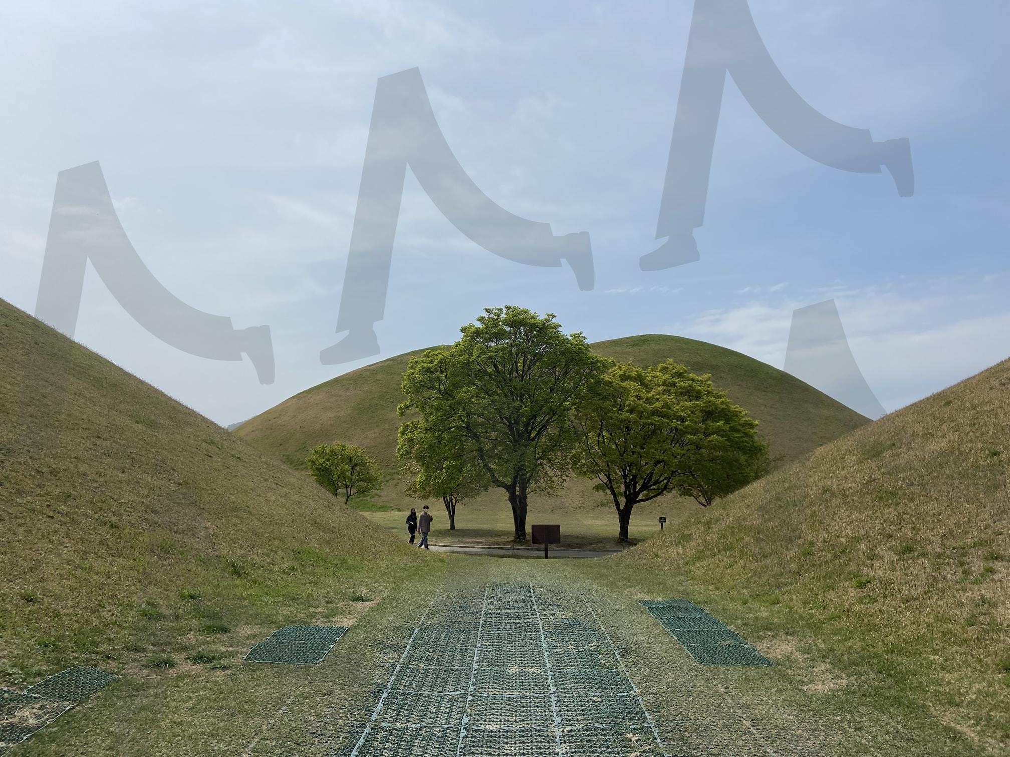 한국 경주 대릉원 Daereungwon Tomb Complex, South Korea | 경주, 경주여행, 대한민국, korea, Gyeongju, 느티나무, travel, 여행, 신라 | 스탠바이 STANDBUY 디지털 콘텐츠