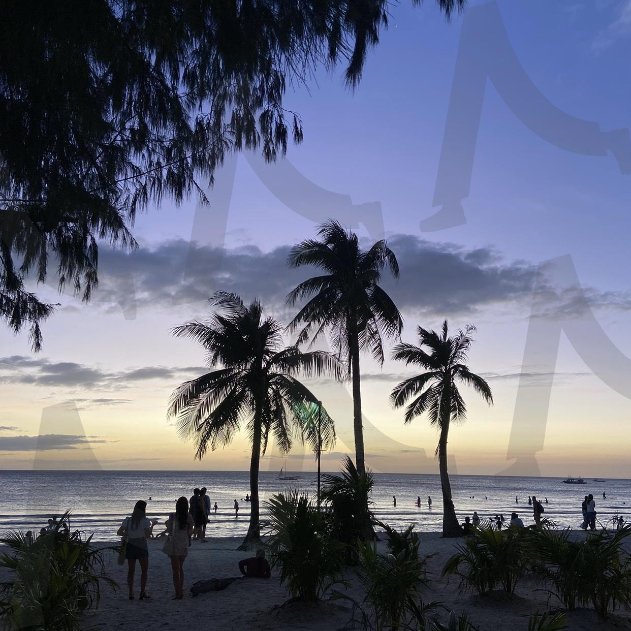 필리핀 보라카이 섬 노을 Sunset in Boracay Island, Philippines | 필리핀, 보라카이, 노을, 해변, sunset, boracay, beach, coconut, 야자수, Philippines | 스탠바이 STANDBUY 디지털 콘텐츠
