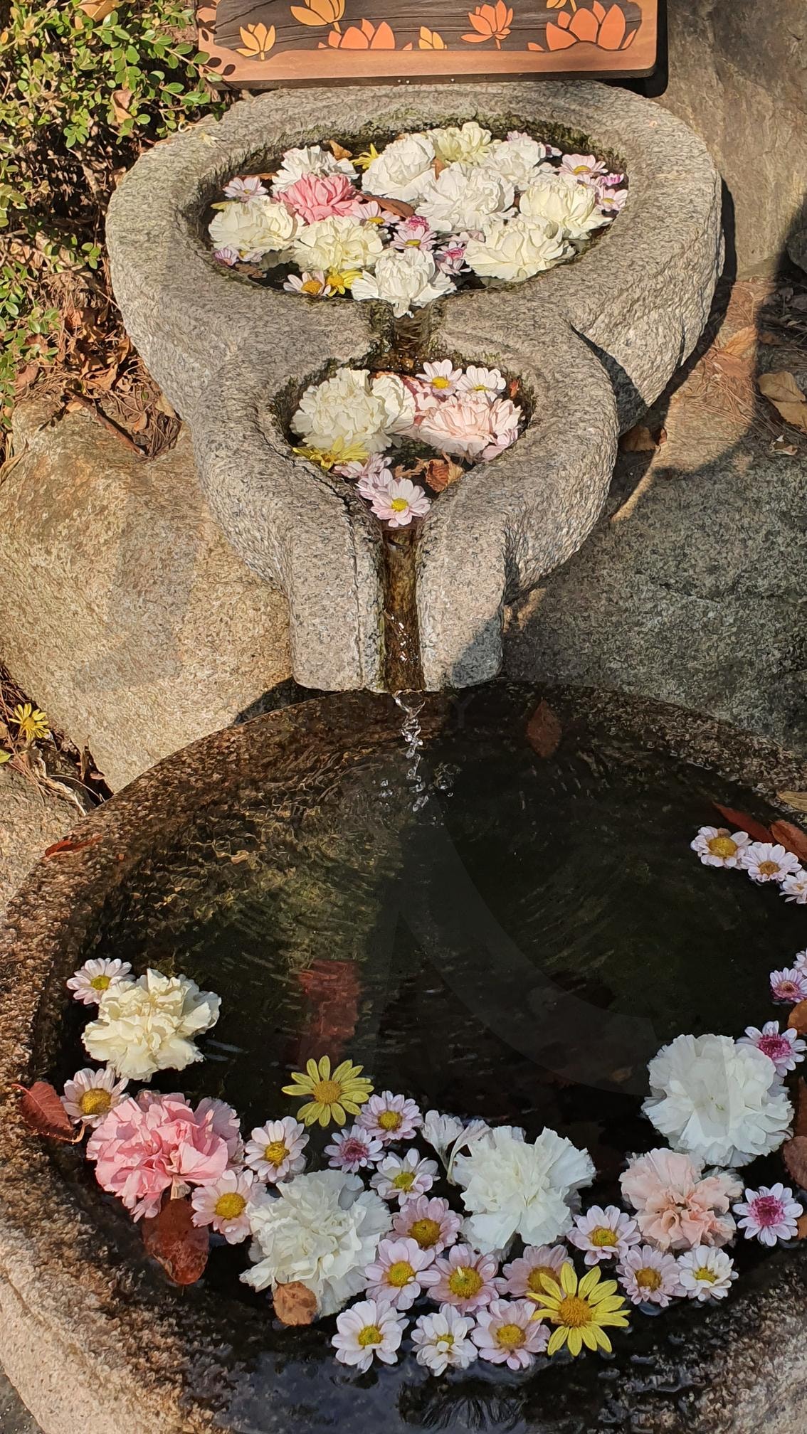 길상사 에서 | 길상사, 사찰, 한성대입구, 한국의 사찰, 힐링스팟 | 스탠바이 STANDBUY 디지털 콘텐츠