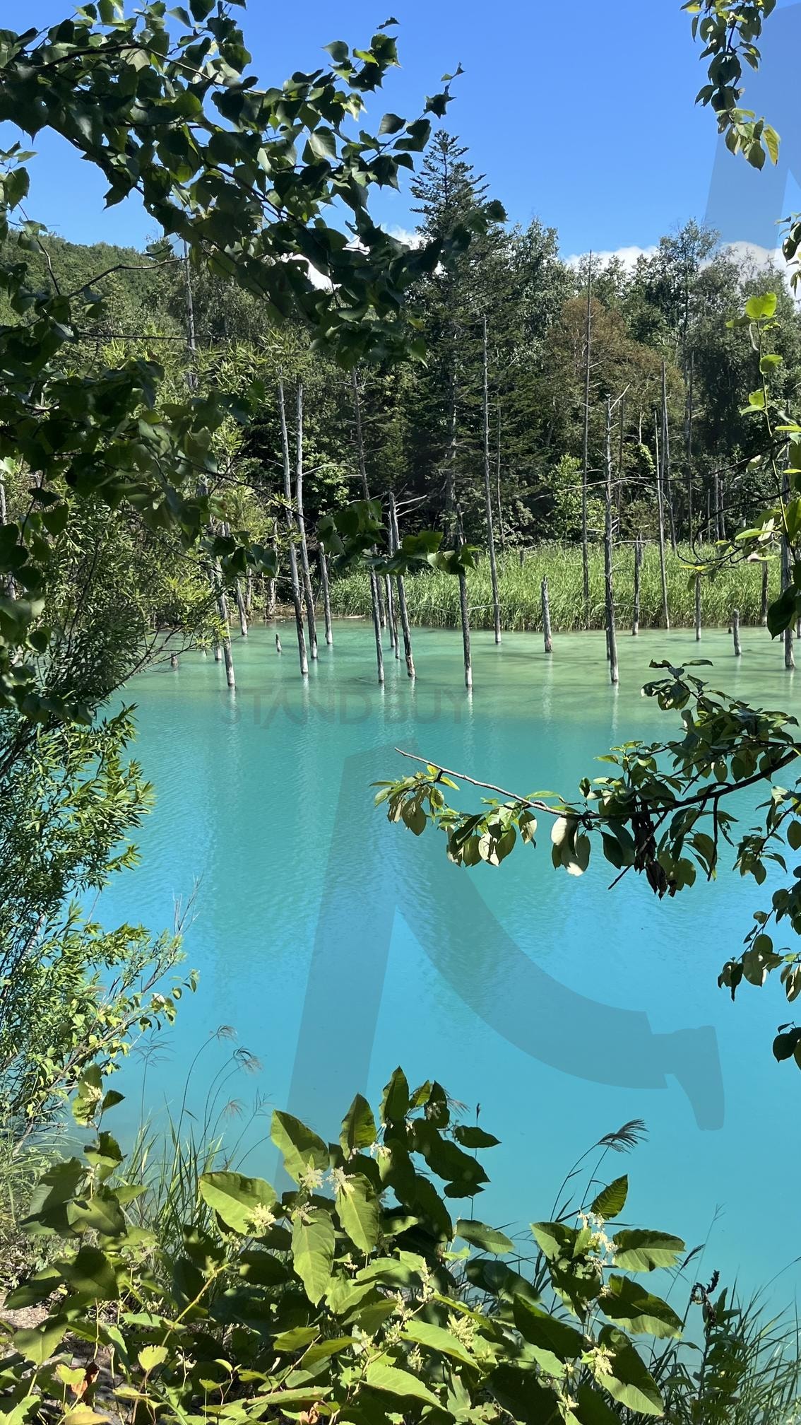 훗카이도 청의호수 | 훗카이도, 북해도, hokkaido, 청의호수, Japan, 여행, 풍경 | 스탠바이 STANDBUY 디지털 콘텐츠