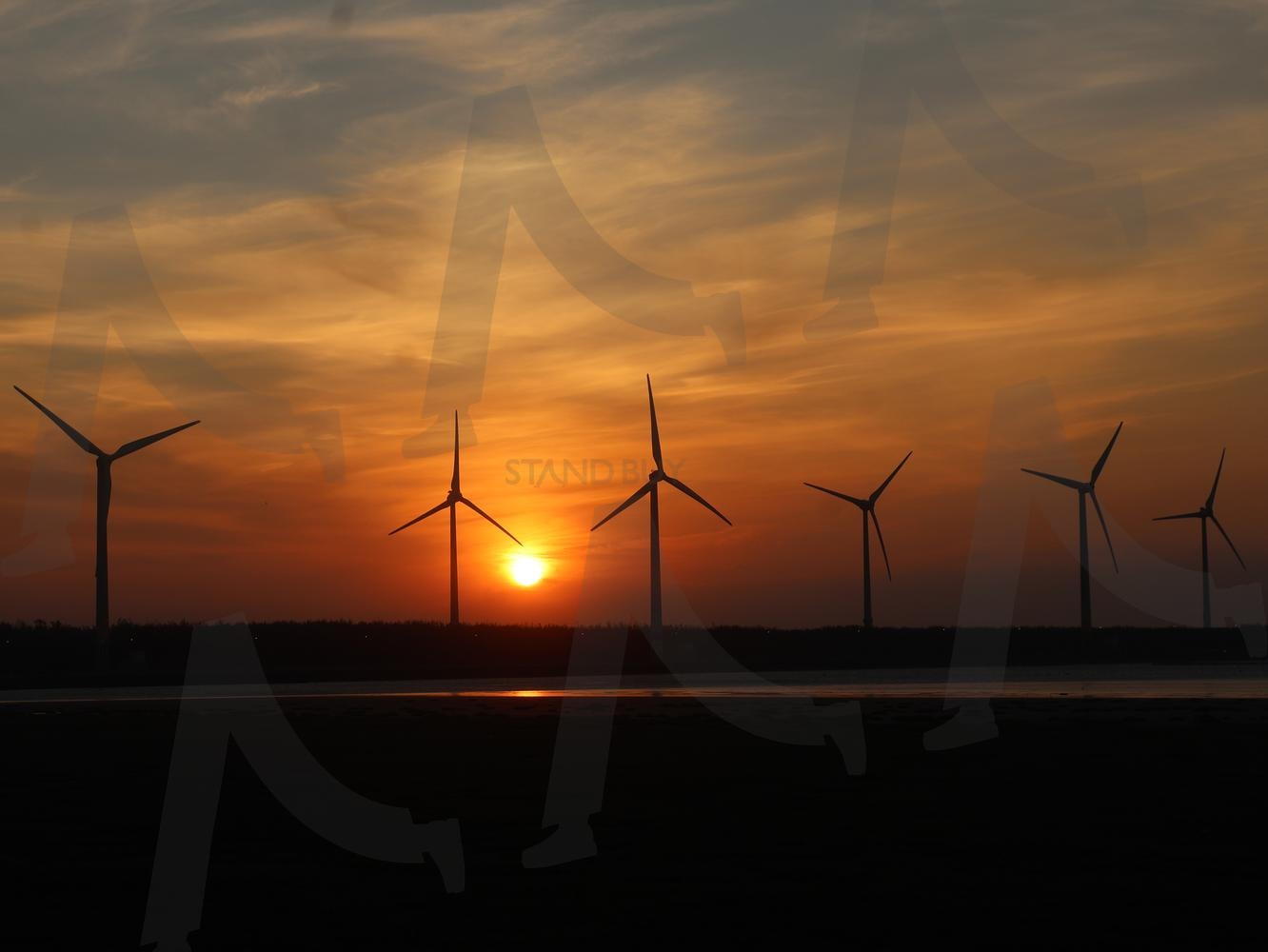 대만 타이중 고미습지 | 고미습지, 대만타이중, 타이중, 대만, 대만사진 | 스탠바이 STANDBUY 디지털 콘텐츠