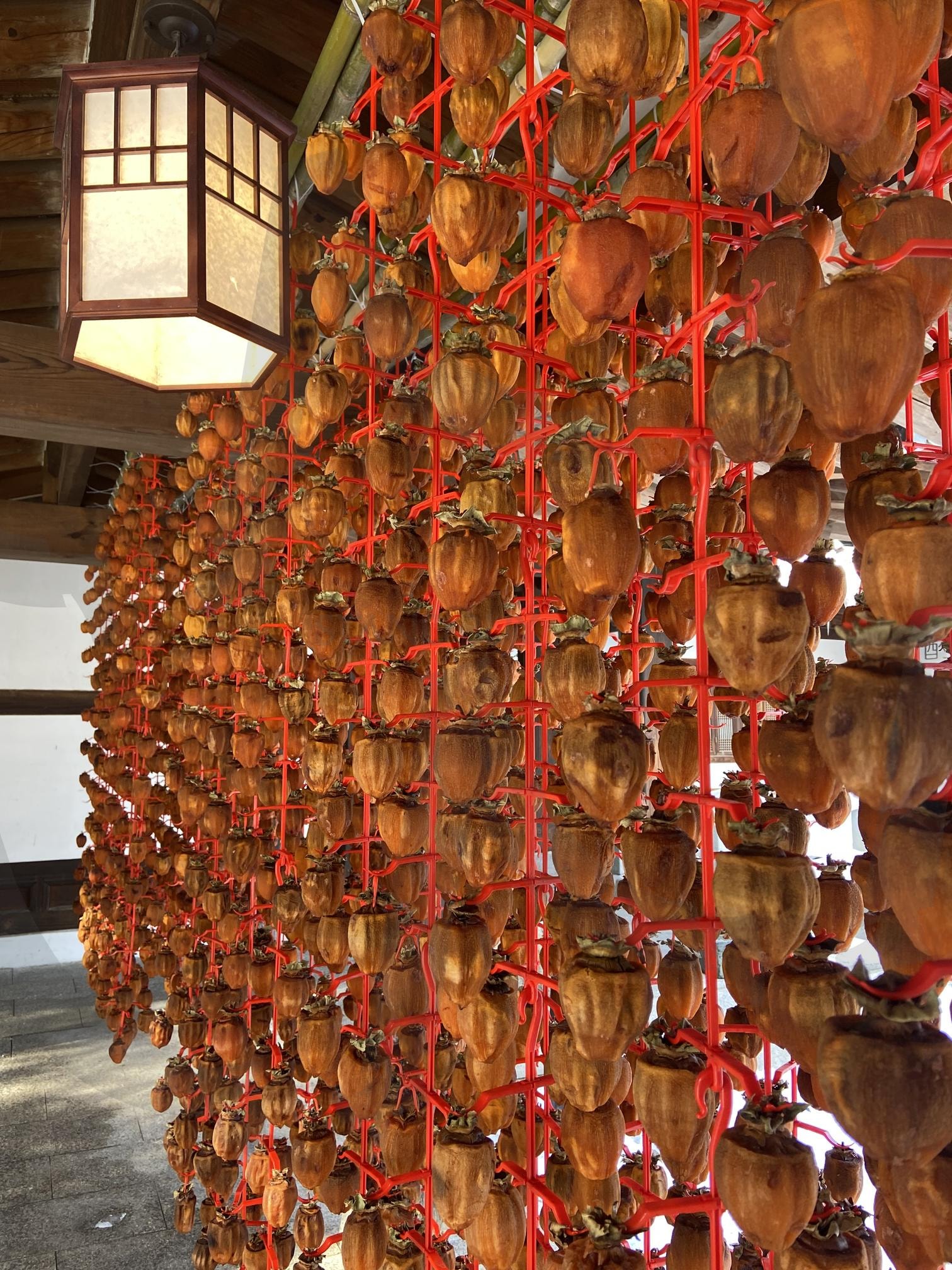 강원도 정선 운암정 베이커리카페 Bakery Cafe, South Korea | 곶감, persimmon, 가을, 한국, 대한민국, 강원도, 정선, 하이원, 운암정, 베이커리, 카페, bakery, Cafe, Jeongseon | 스탠바이 STANDBUY 디지털 콘텐츠