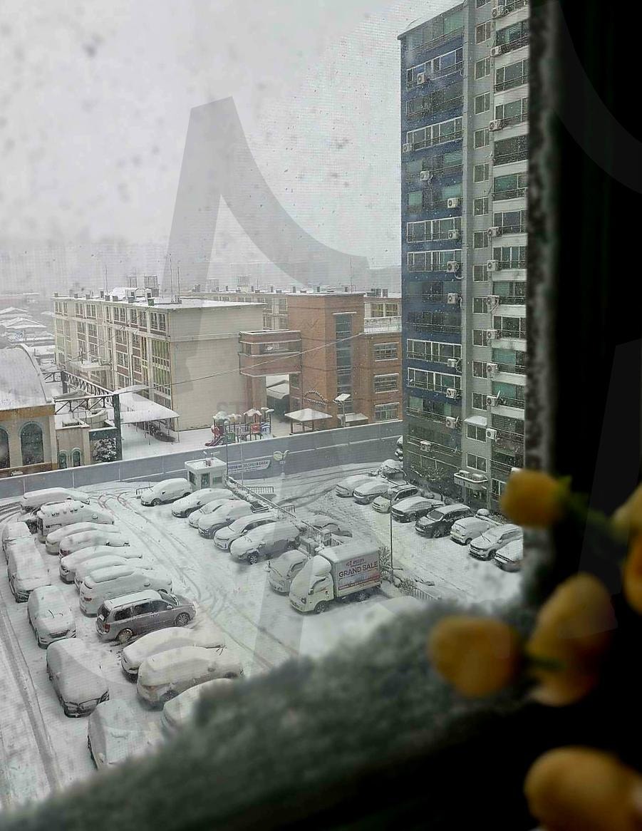 25년 설 연휴 대단했다. 대설주의보 | 몇년만에, 이렇게, 많은 눈을, 보는지, 연휴기간내내, 고생하셨습니다 | 스탠바이 STANDBUY 디지털 콘텐츠