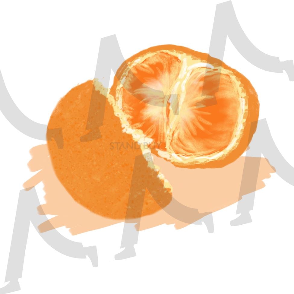 귤 | 그림, 과일, 귤, 겨울, 제주도, 드로잉, 일러스트 | 스탠바이 STANDBUY 디지털 콘텐츠