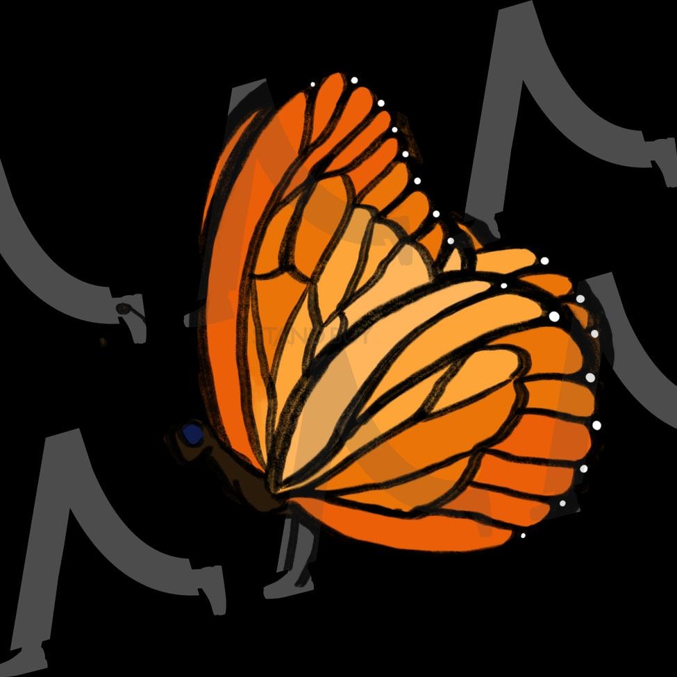 나비 | 나비, 곤충, 일러스트, 그림, 드로잉 | 스탠바이 STANDBUY 디지털 콘텐츠