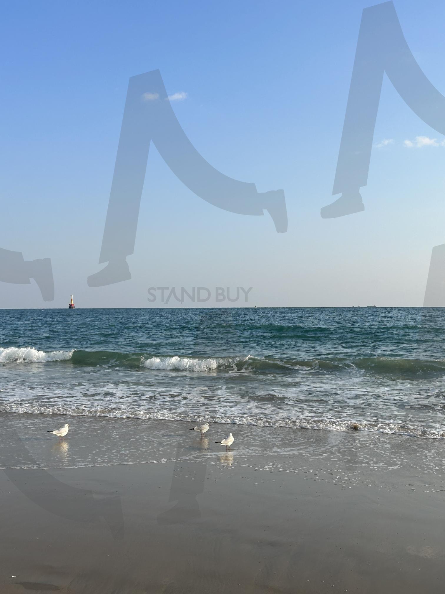 Haeundae Beach | 해운대, 부산, 대한민국, korea, 바다, sea, 배경화면, 추천, 갈매기 | 스탠바이 STANDBUY 디지털 콘텐츠