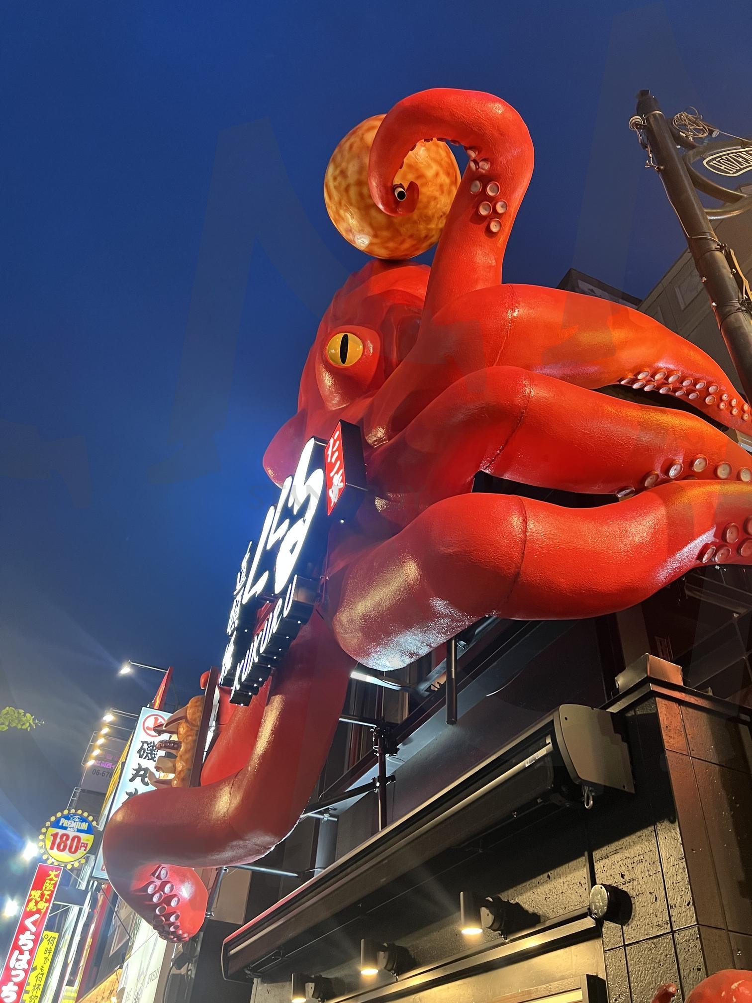 오사카 도톤보리 타코야끼집 | 타코야끼, 오사카, 도톤보리, 일본, 일본타코야끼 | 스탠바이 STANDBUY 디지털 콘텐츠