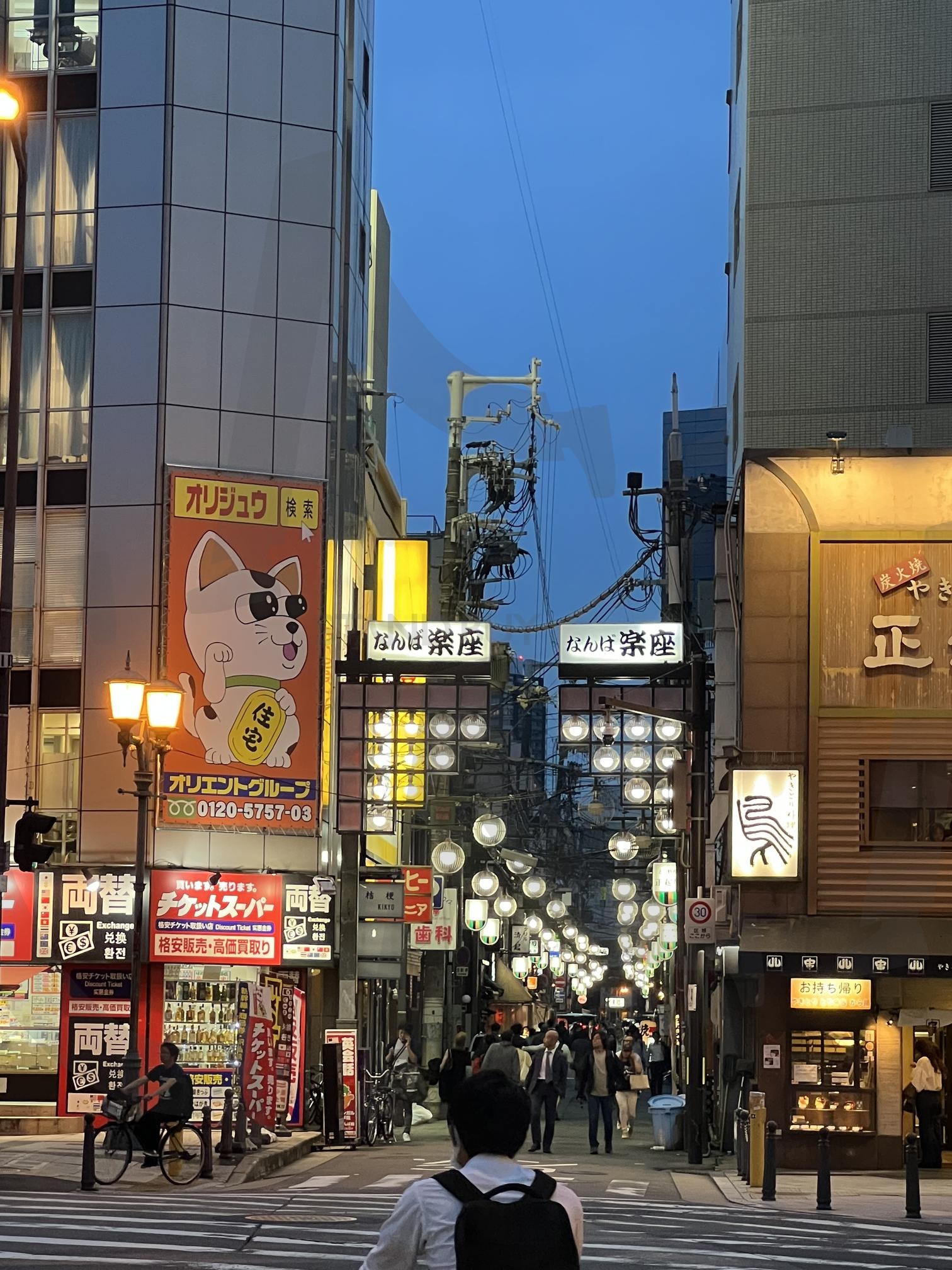 오사카 도톤보리 거리 | 오사카, 도톤보리, 도톤보리거리, 오사카도톤보리, 일본 | 스탠바이 STANDBUY 디지털 콘텐츠