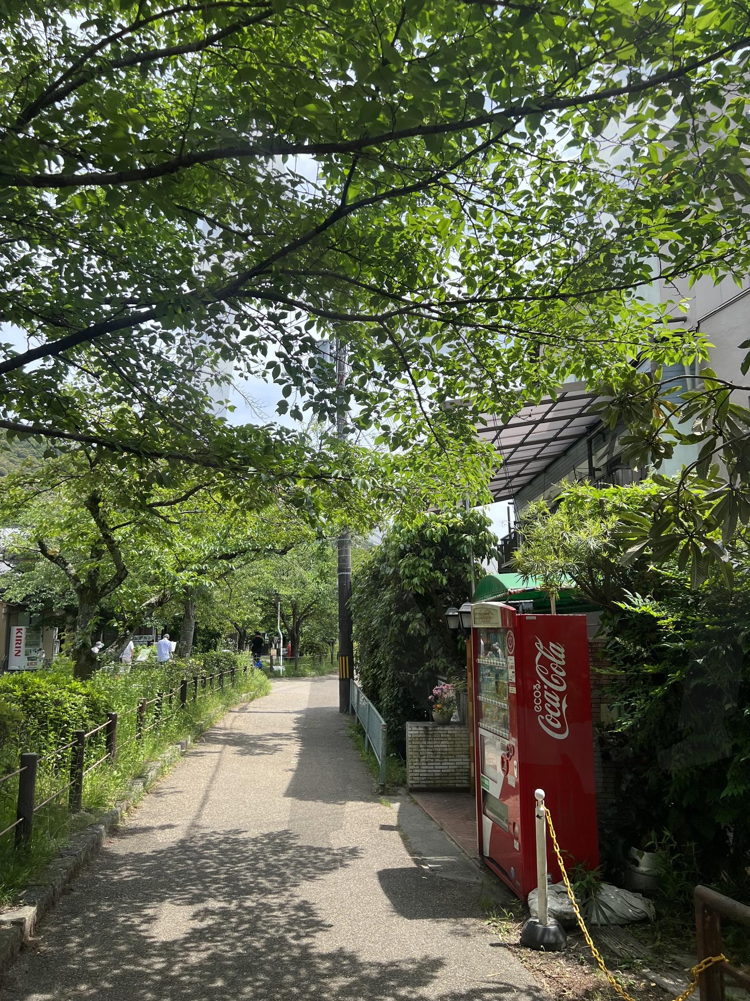 교토 힐링거리 | 교토, 일본음료자판기, 일본, 일본힐링, 교토시 | 스탠바이 STANDBUY 디지털 콘텐츠