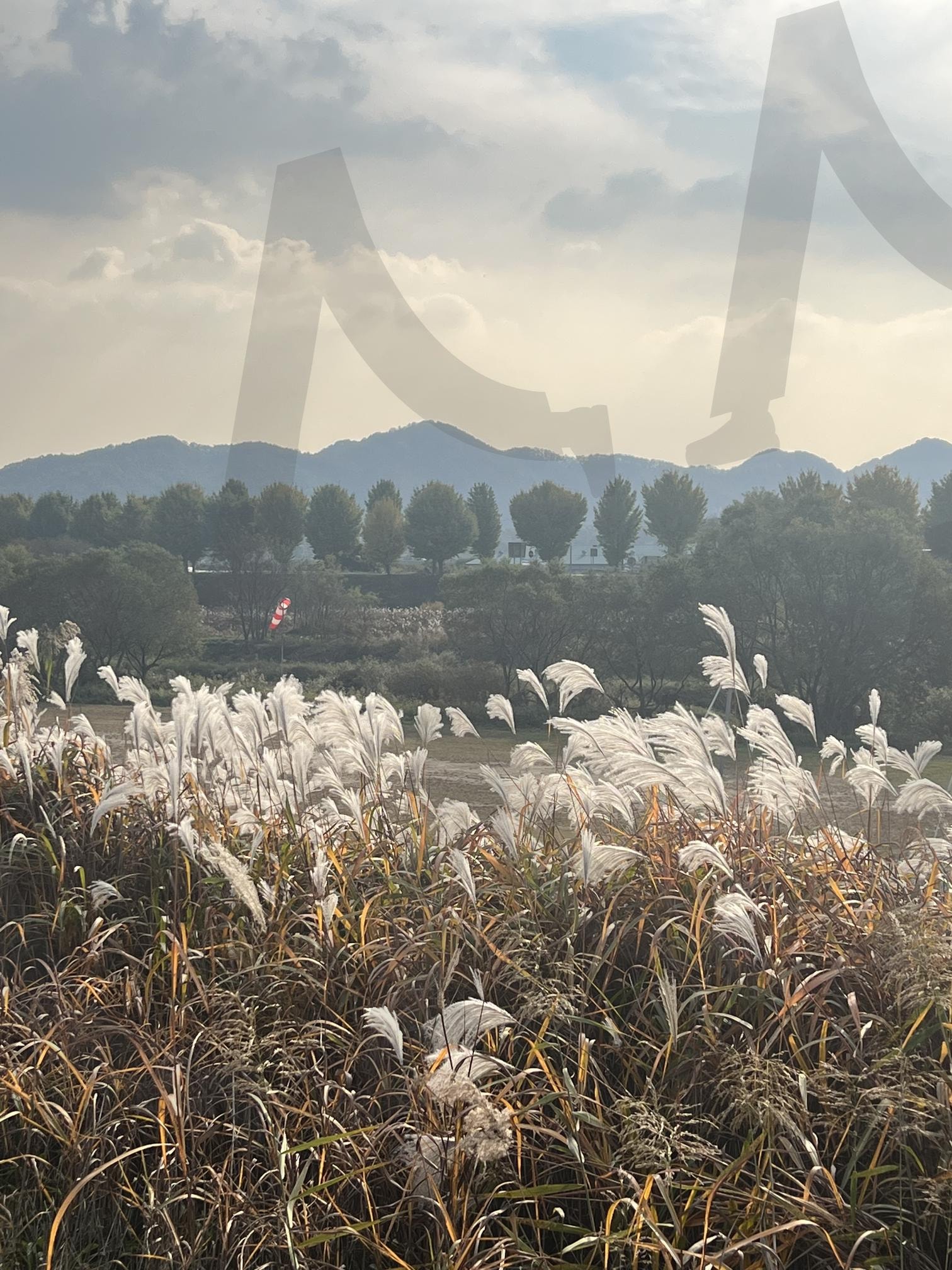 공주 경비행장 풍경 | 공주, 경비행장, 경비행기, 노을, 공주비행기 | 스탠바이 STANDBUY 디지털 콘텐츠
