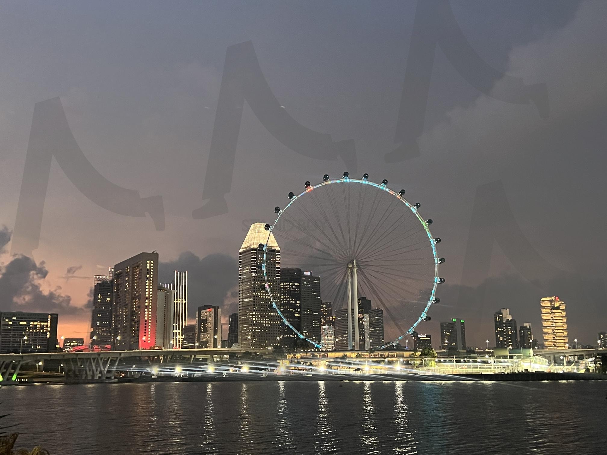 Gardens by the Bay in Singapore | 가든스바이더베이, 싱가포르, 관람차, 야경, 마리아나베이, 열람차 | 스탠바이 STANDBUY 디지털 콘텐츠