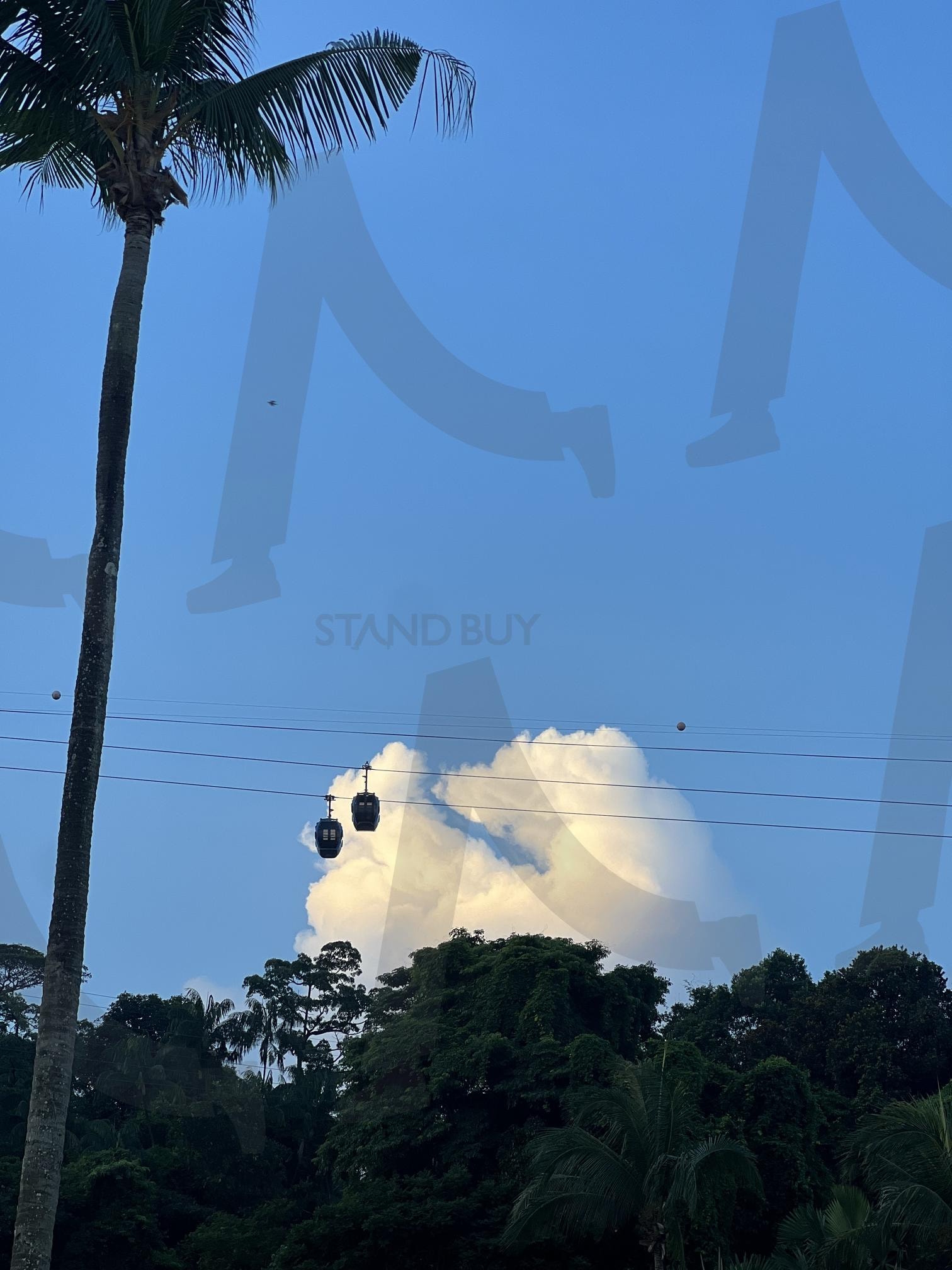 싱가포르 케이블카 다람쥐(실로소 해변) | 싱가포르, 다람쥐, 실로소, 실로소해변, 케이블카, 화창함 | 스탠바이 STANDBUY 디지털 콘텐츠