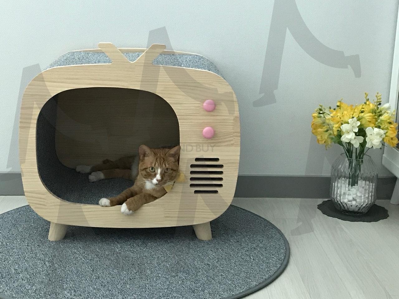 고양이 | 길고양이, 고양이, 집고양이, 치즈고양이, 한가로운고양이 | 스탠바이 STANDBUY 디지털 콘텐츠