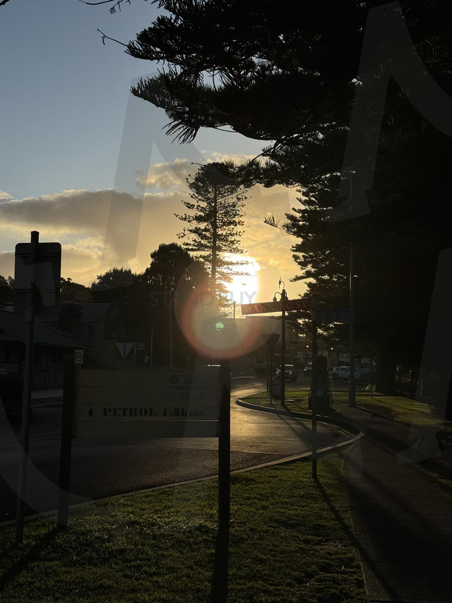 Australia | Australia, backlighting, Nature with backlighting, sky with trees, Kiama, Manning st | 스탠바이 STANDBUY 디지털 콘텐츠