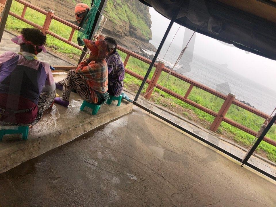 제주해녀 | 제주해녀, 제주할망, 제주숨비소리, 제주, 제주해삼 | 스탠바이 STANDBUY 디지털 콘텐츠