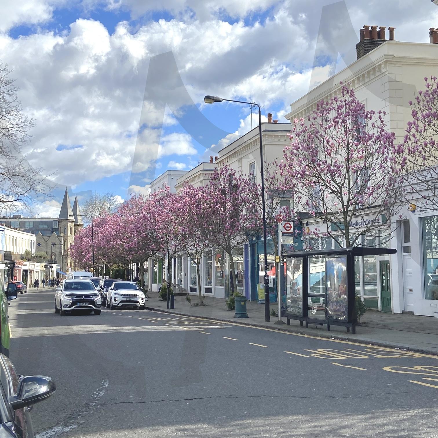 Notting Hill st | London Notting Hill, London, Notting Hill street, bloomed Notting Hill, Bloomed street | 스탠바이 STANDBUY 디지털 콘텐츠