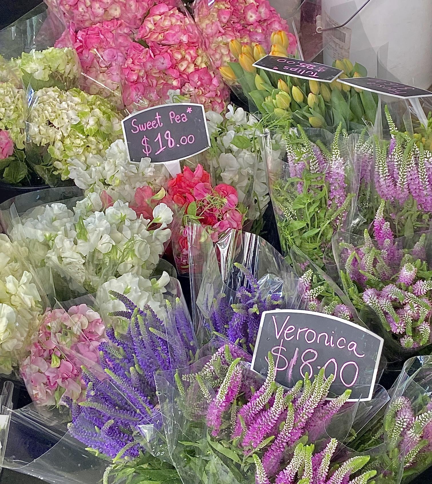 Flowers | Flower, colorful flower, veronica flower, sweet pea flower, flowers | 스탠바이 STANDBUY 디지털 콘텐츠