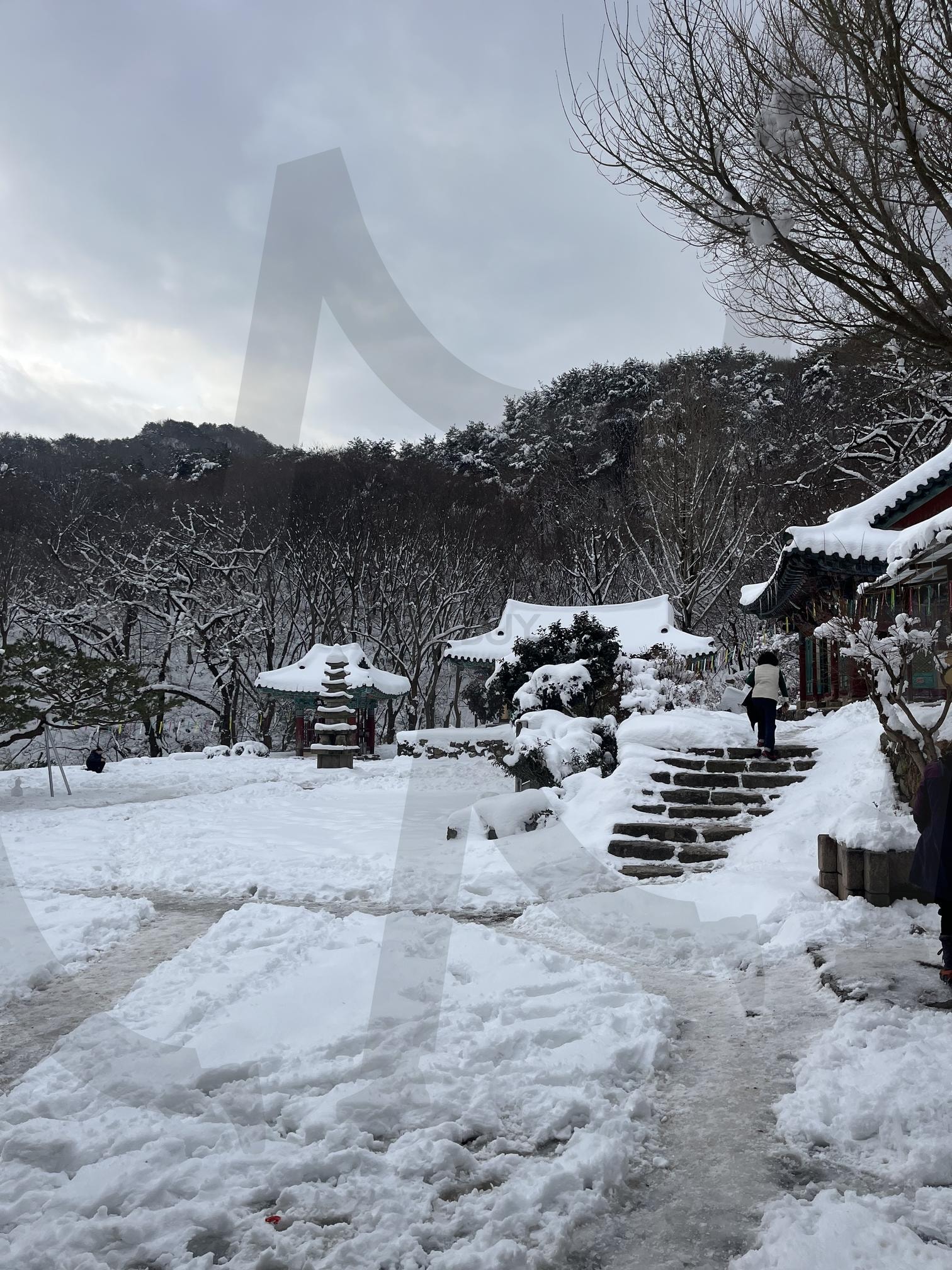 🛕 겨울 속 고즈넉한 전주 모악산 대원사 | Moak Mountain, Daewonsa Temple, jeonju, korean temple, winter, snow, Buddhism, landscape, nature, Tranquility, Zen, scenic, Travel 모악산, 대원사, 전주, 한국 사찰, 전통 건축, 불교, 겨울, 눈, 감성사진, 평온한 분위기, 자연, 풍경, 여행 | 스탠바이 STANDBUY 디지털 콘텐츠