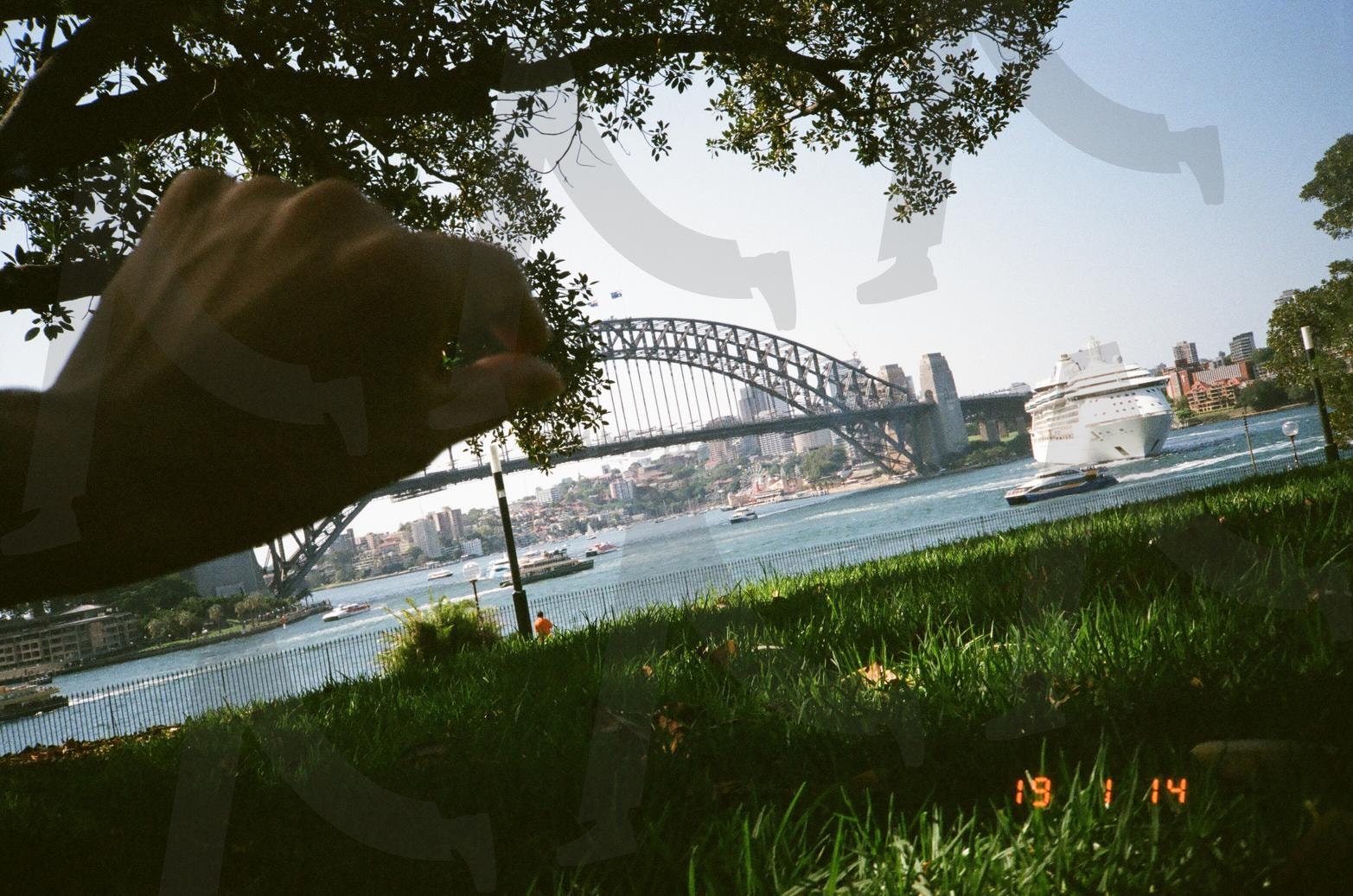 시드니 로열 보타닉 가든에서 바라본 하버 브릿지 | Sydney, Royal Botanic Garden, harbour bridge, Australia, landscape, skyline, grass, nature, travel, cityscape, Ocean 시드니, 로열 보타닉 가든, 하버 브릿지, 오스트레일리아, 풍경, 스카이라인, 잔디, 자연, 여행, 도시 풍경, 바다 | 스탠바이 STANDBUY 디지털 콘텐츠