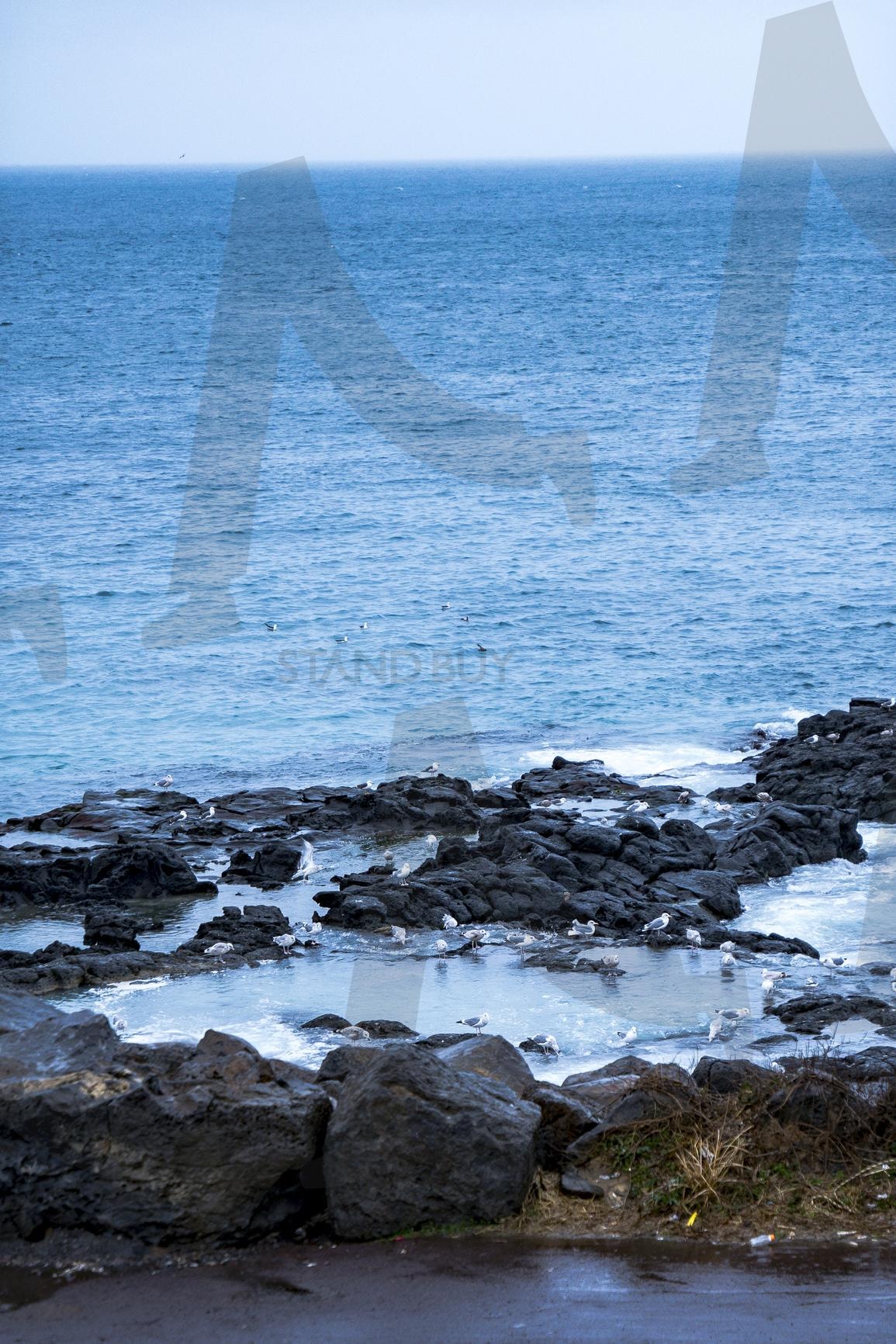 도구리알 | 도구리알, 제주, 해변, 제주바다, 제주도, 여행 | 스탠바이 STANDBUY 디지털 콘텐츠